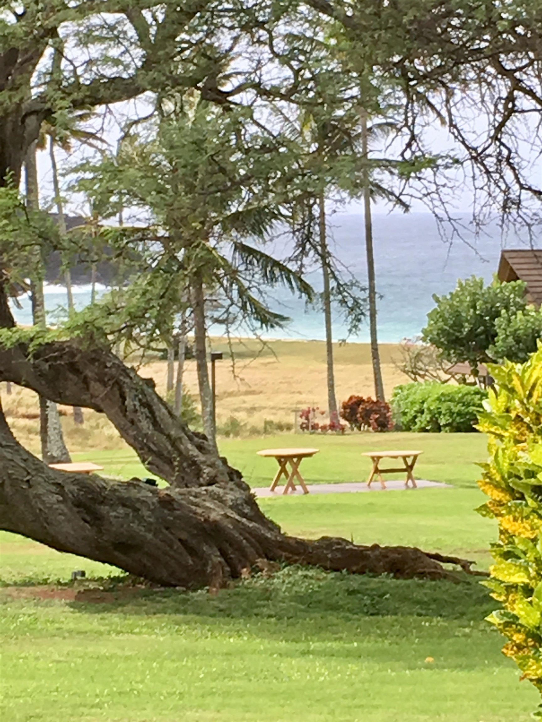 West Molokai Resort condo # 21A03, Maunaloa, Hawaii - photo 7 of 16