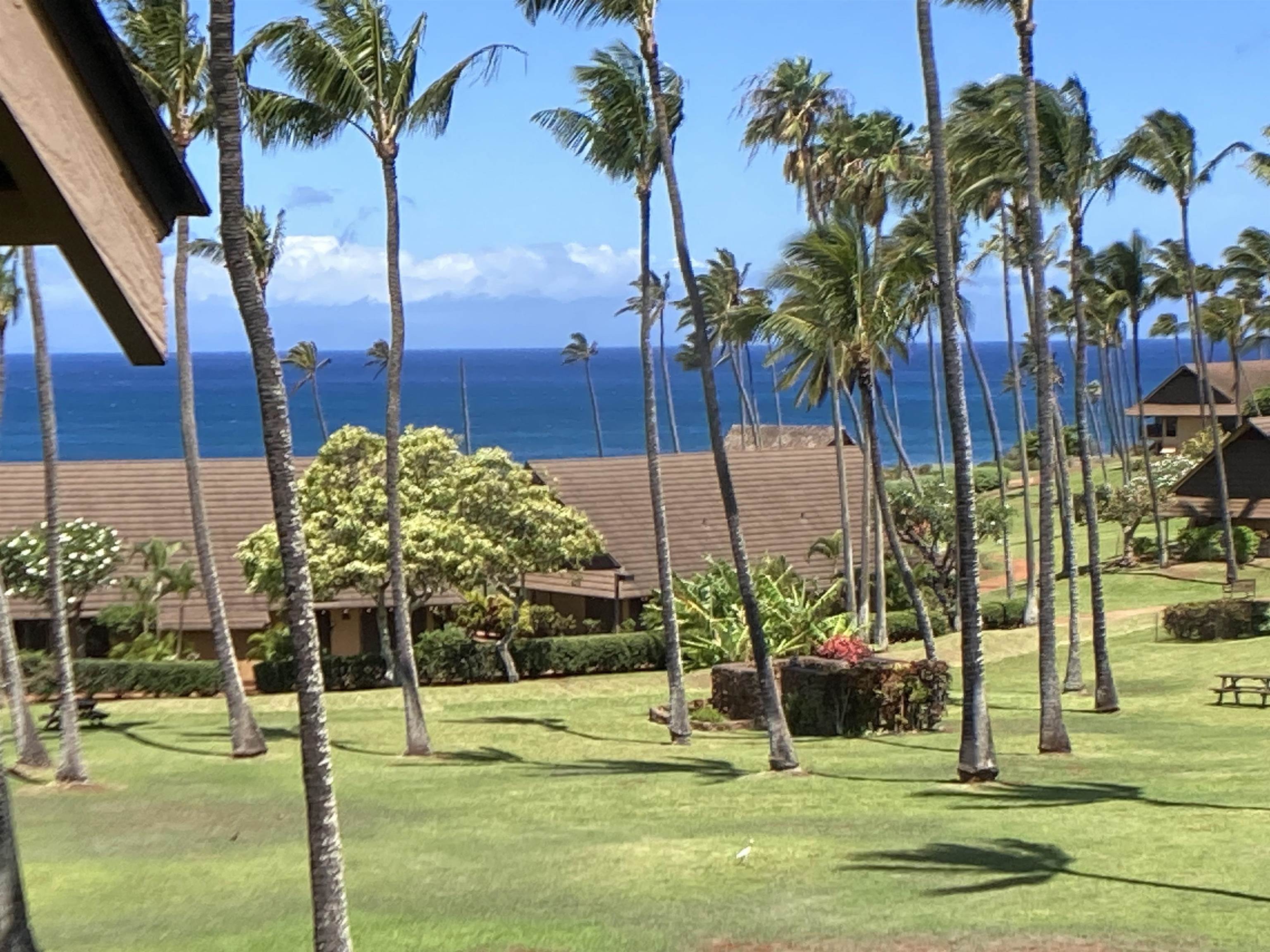 West Molokai Resort condo # 2201, Maunaloa, Hawaii - photo 3 of 46