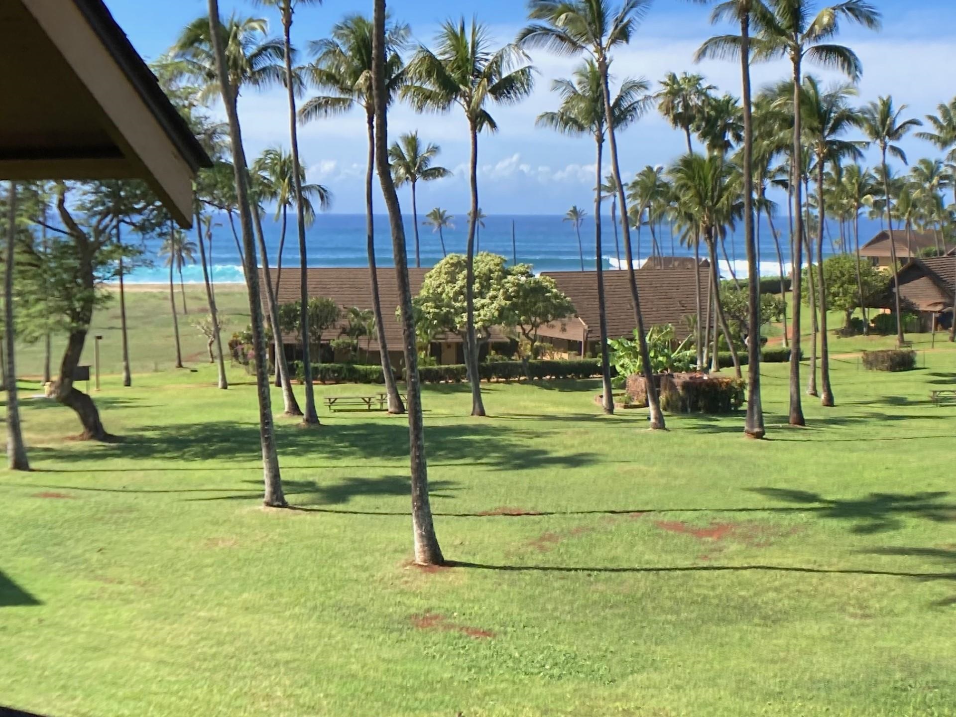 West Molokai Resort condo # 2201, Maunaloa, Hawaii - photo 36 of 46