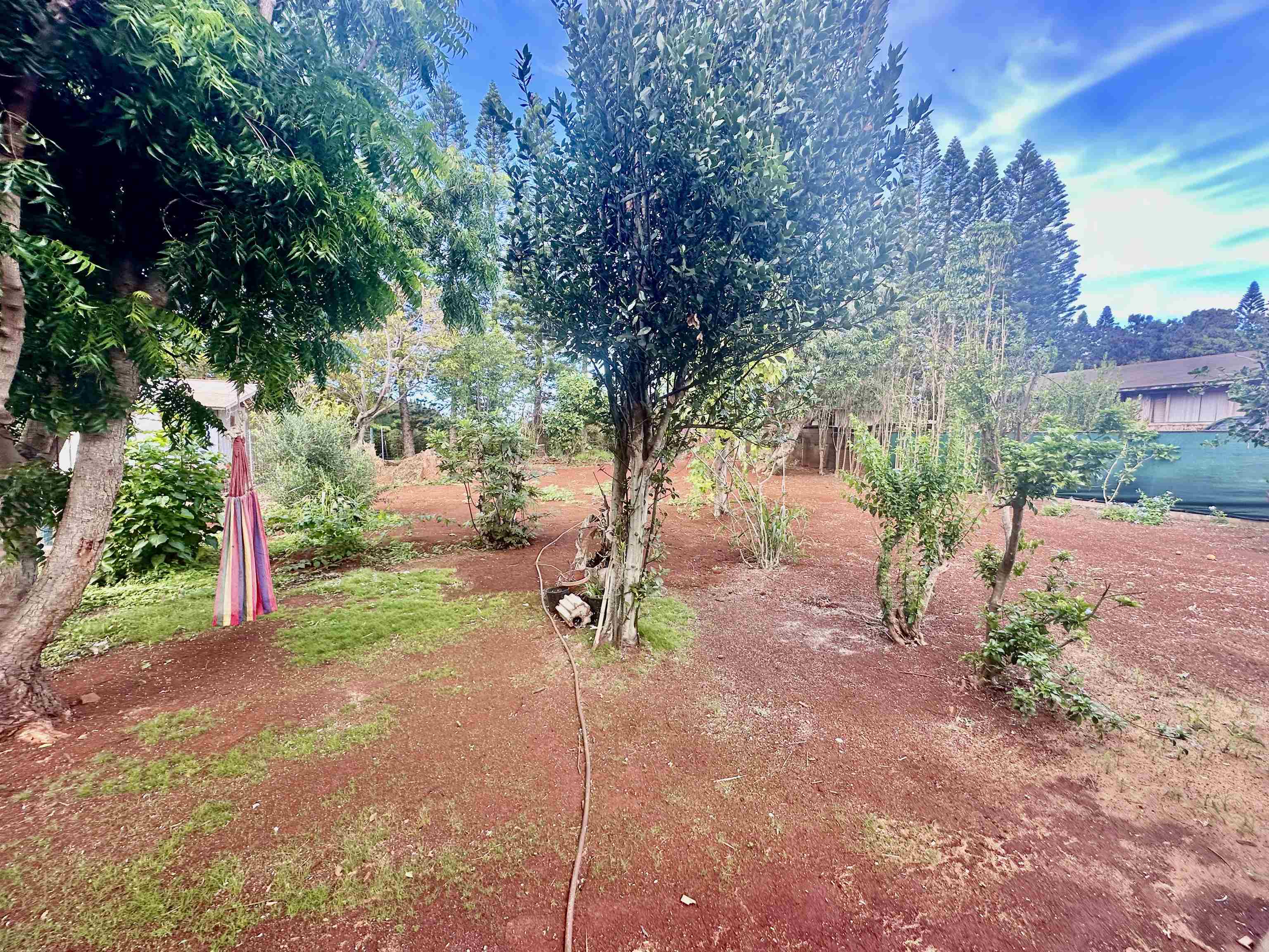 0  Kialoa St , Molokai home - photo 41 of 46