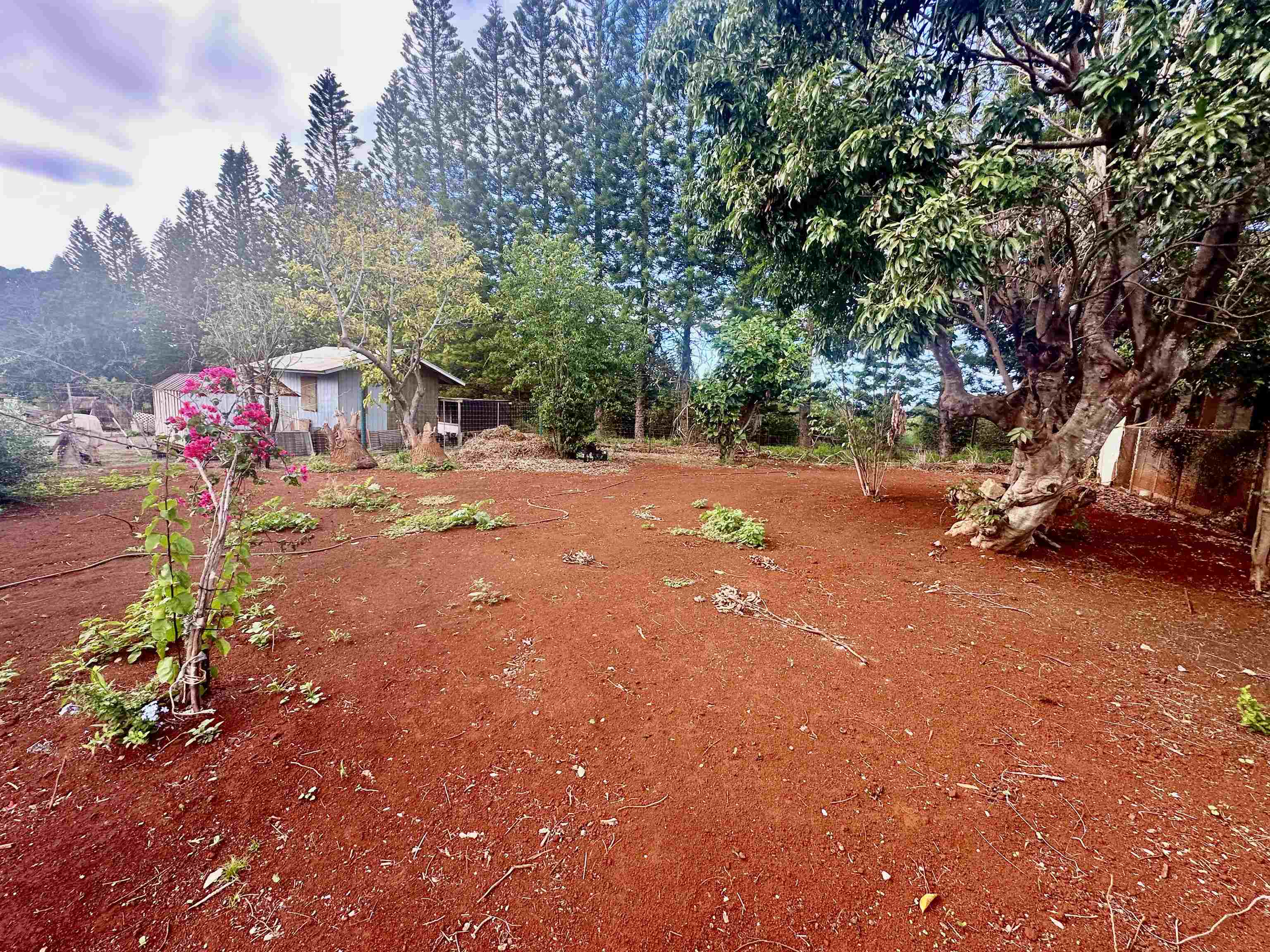 0  Kialoa St , Molokai home - photo 42 of 46