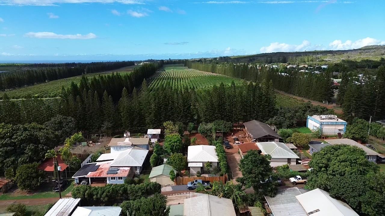 0  Kialoa St , Molokai home - photo 46 of 46