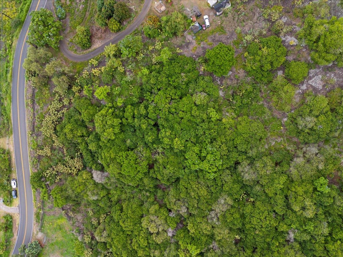 0 Kula Hwy  Kula, Hi vacant land for sale - photo 13 of 32