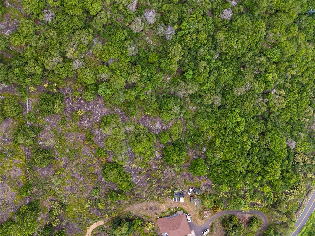 0 Kula Hwy  Kula, Hi vacant land for sale - photo 7 of 32