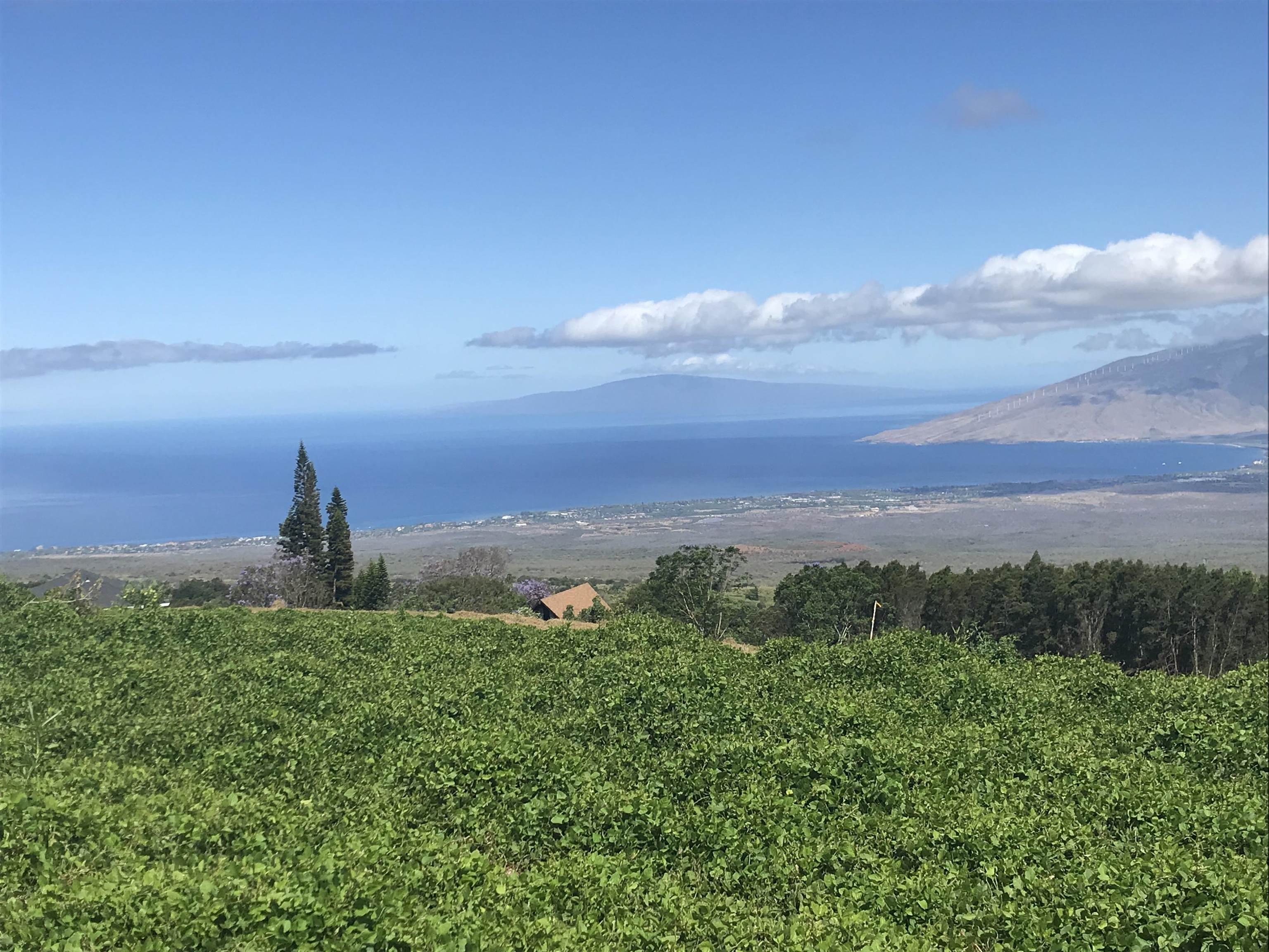 Land For Sale In Kula Maui