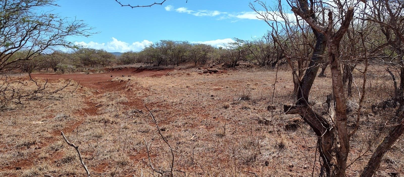 Kulawai Pl 226 Maunaloa, Hi vacant land for sale - photo 2 of 9