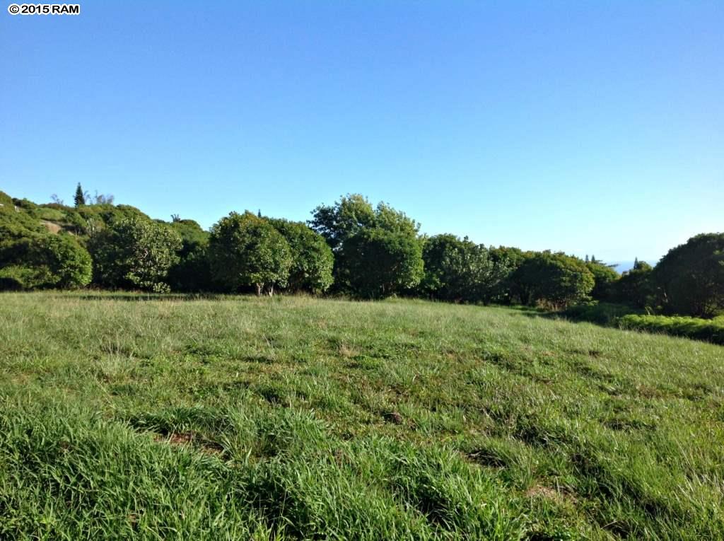 0 Lahaole Pl MCR Lo Wailuku, Hi vacant land for sale - photo 12 of 30