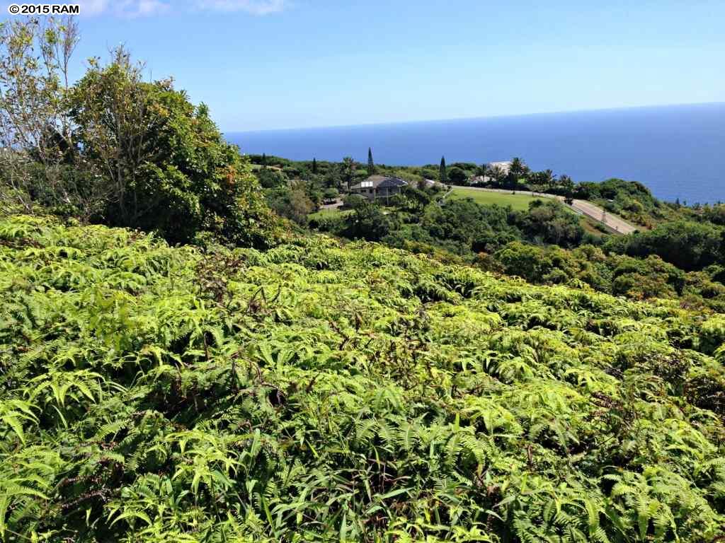 0 Lahaole Pl MCR Lo Wailuku, Hi vacant land for sale - photo 14 of 30