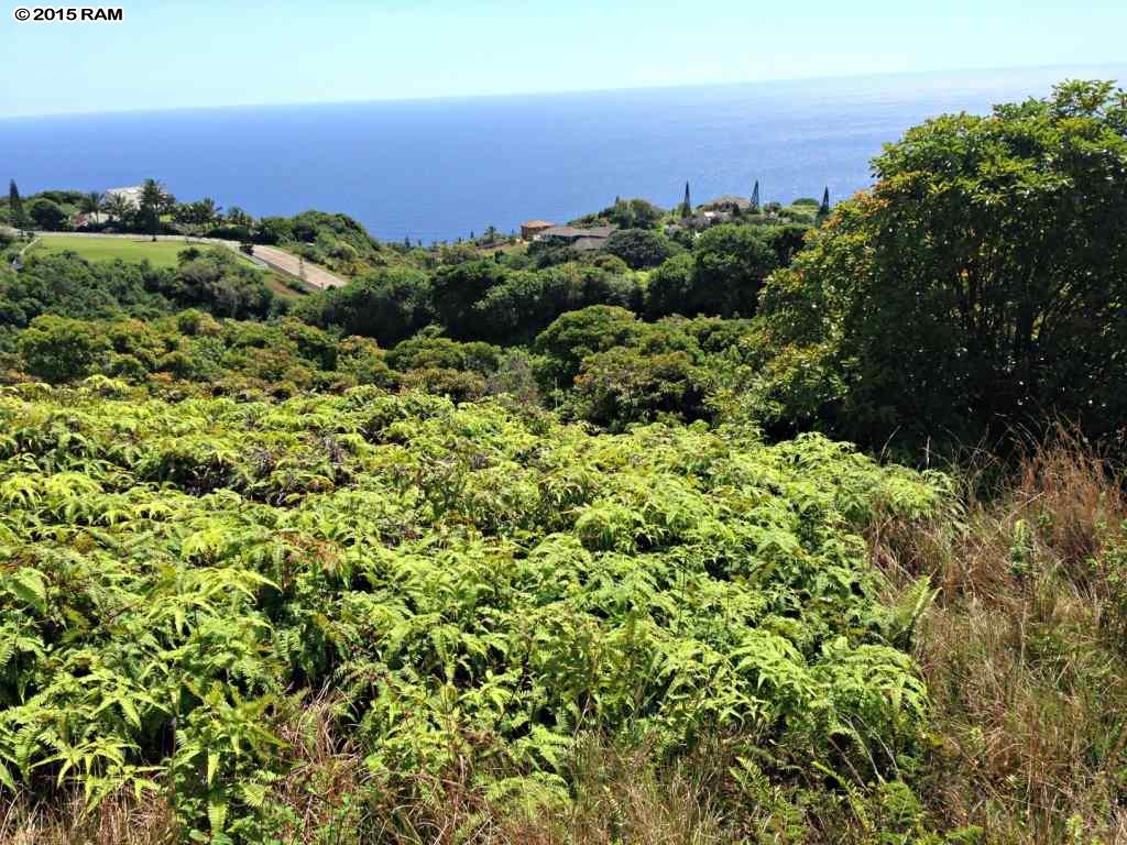 0 Lahaole Pl MCR Lo Wailuku, Hi vacant land for sale - photo 15 of 30
