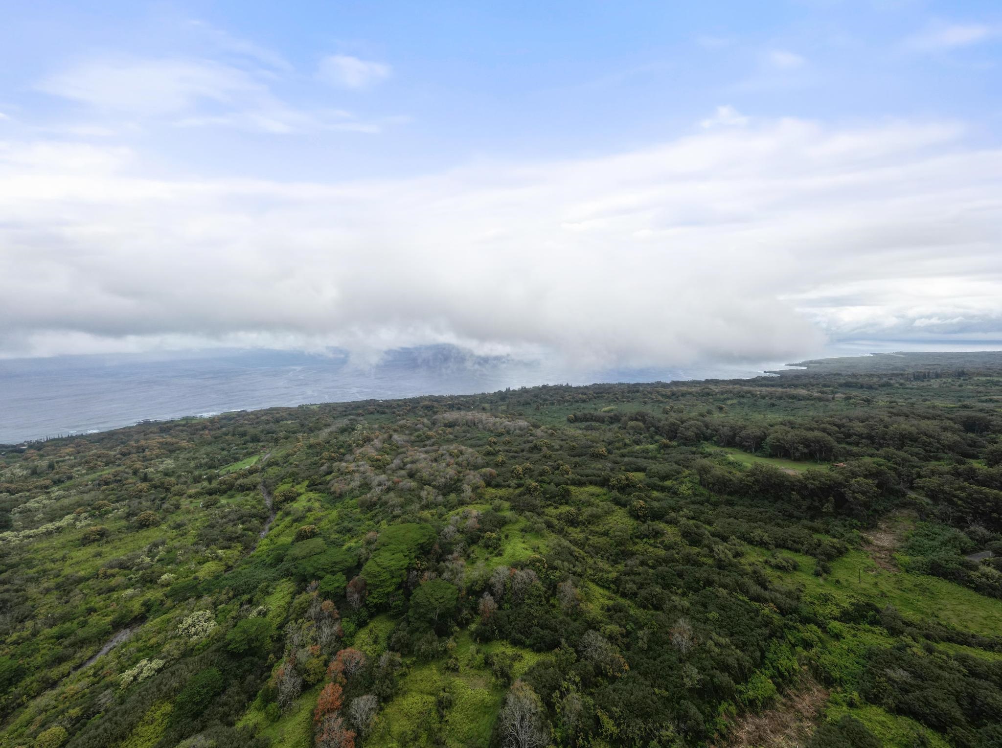 Lot 20 Hana Hwy 20 Hana, Hi vacant land for sale - photo 14 of 22