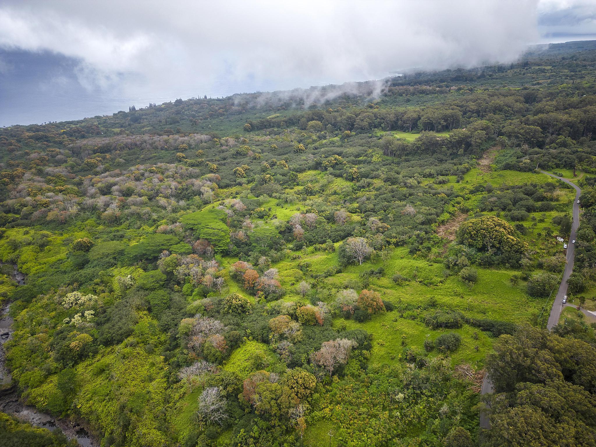 Lot 20 Hana Hwy 20 Hana, Hi vacant land for sale - photo 15 of 22