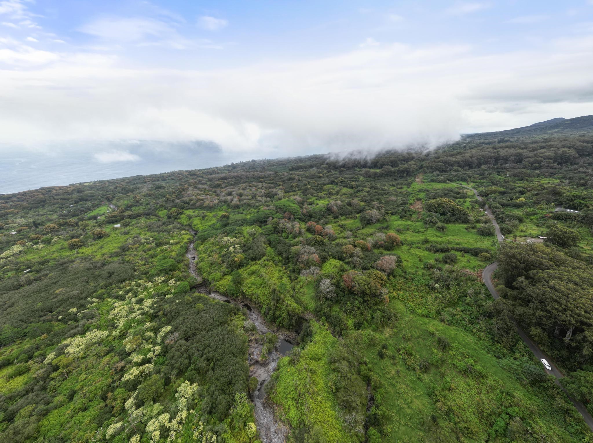 Lot 20 Hana Hwy 20 Hana, Hi vacant land for sale - photo 17 of 22