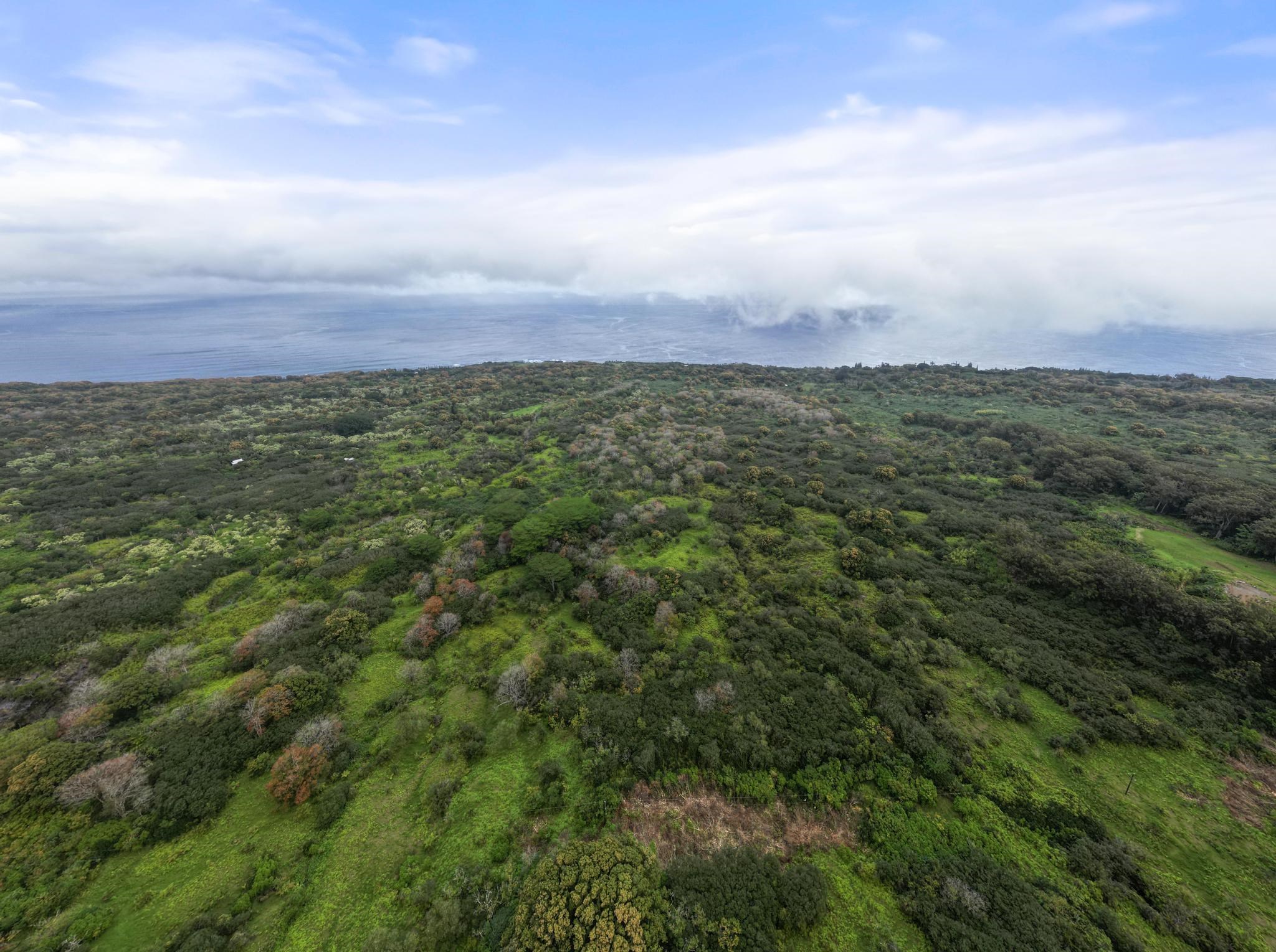 Lot 20 Hana Hwy 20 Hana, Hi vacant land for sale - photo 3 of 22