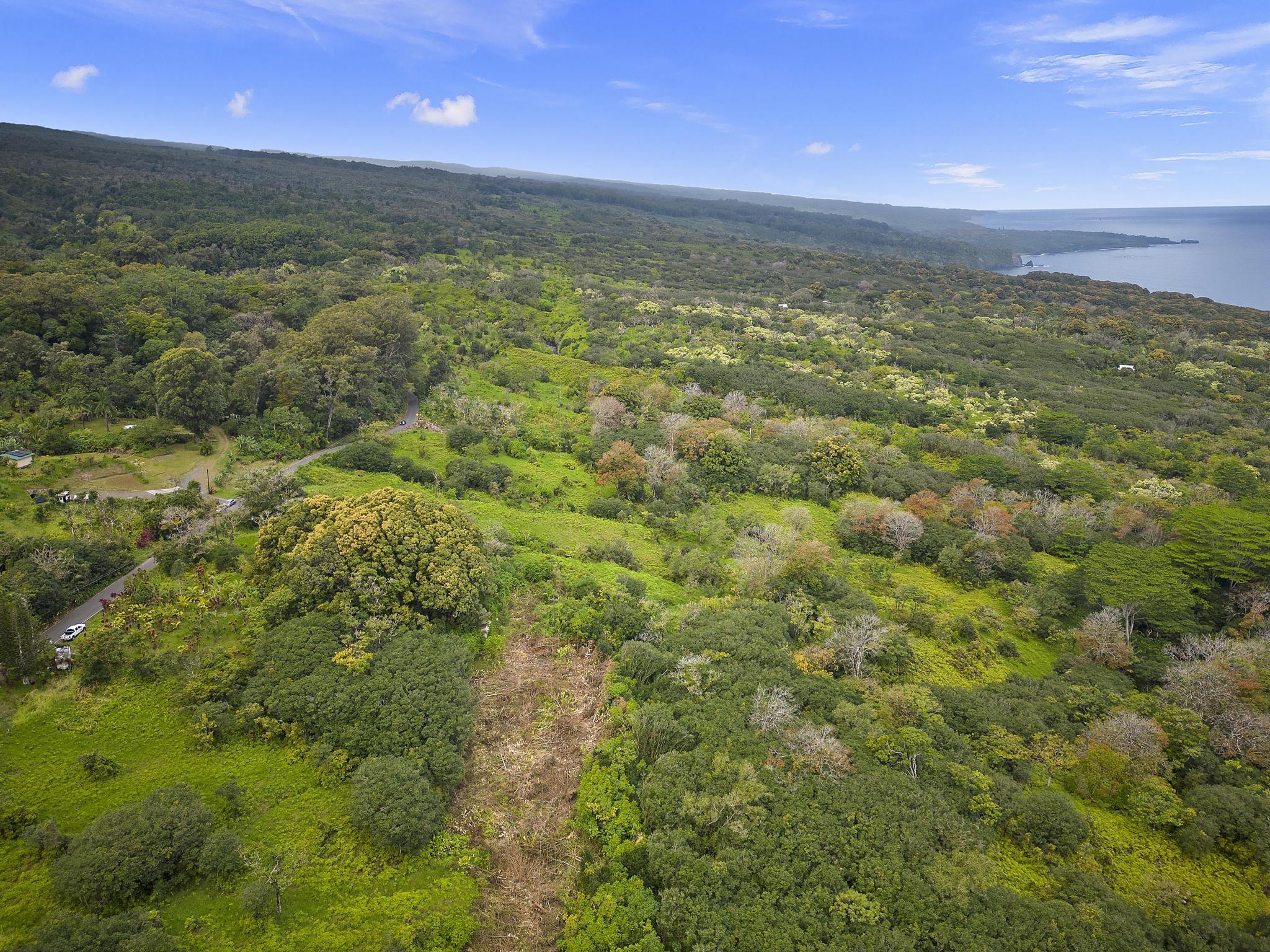 Lot 20 Hana Hwy 20 Hana, Hi vacant land for sale - photo 4 of 22