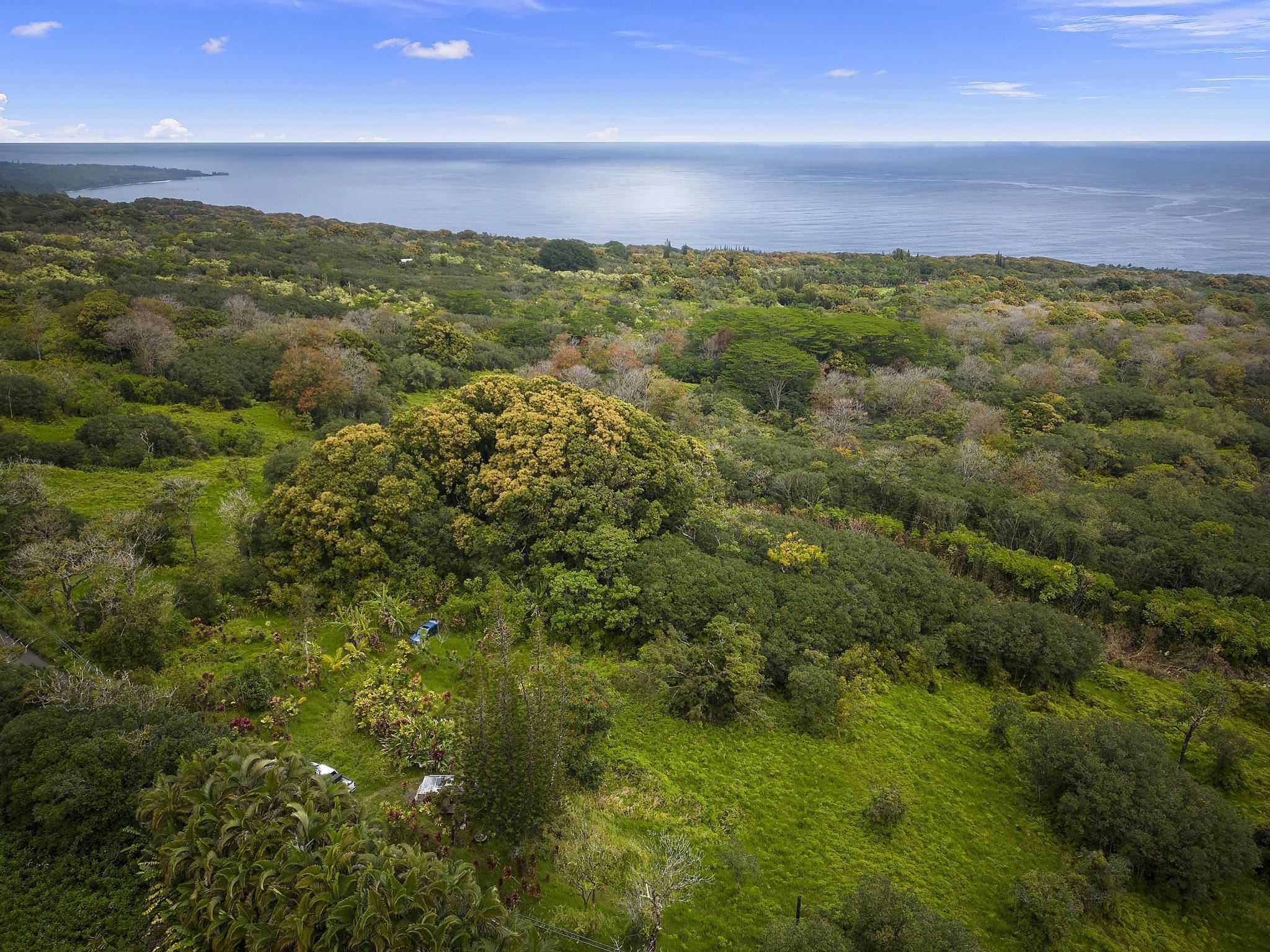 Lot 20 Hana Hwy 20 Hana, Hi vacant land for sale - photo 7 of 22