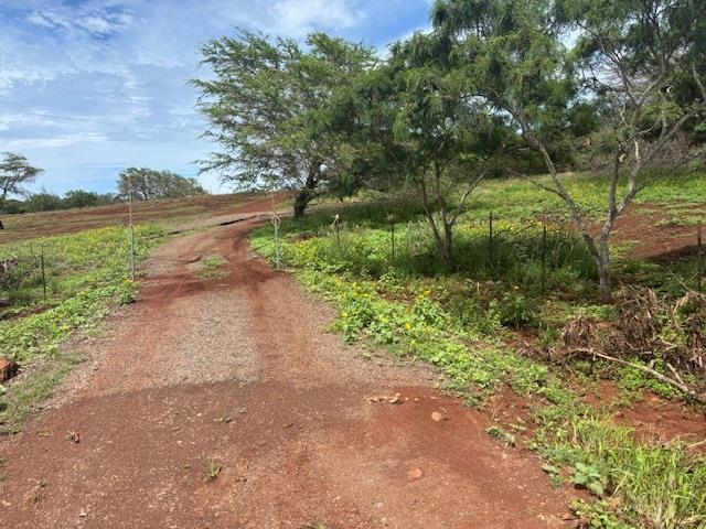 Lot 205  Pa Loa Loop , Molokai home - photo 11 of 11