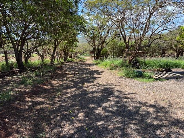 Lot 205  Pa Loa Loop , Molokai home - photo 6 of 11