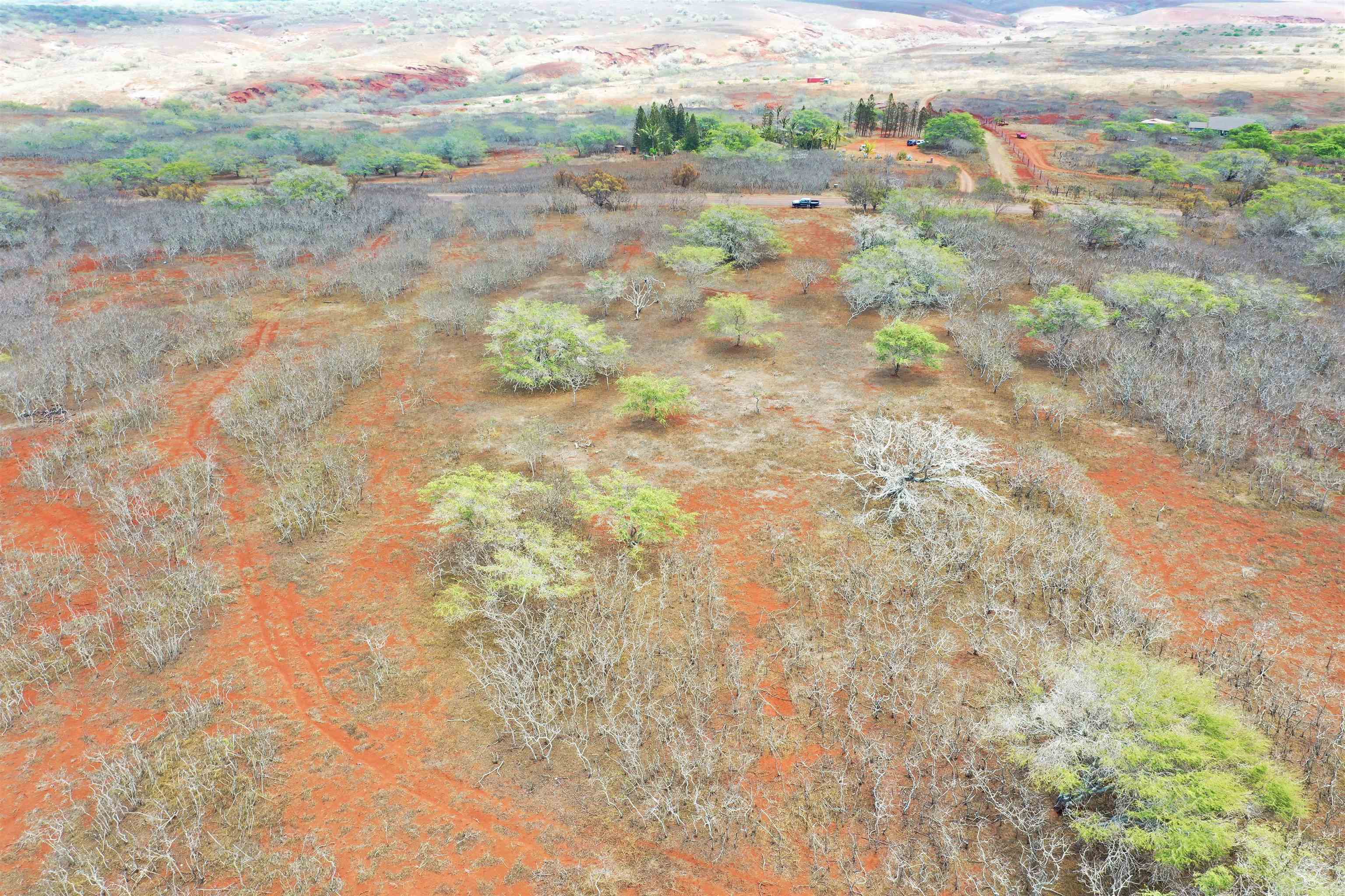 Lot 38 Kalua Koi Rd  Maunaloa, Hi vacant land for sale - photo 2 of 8