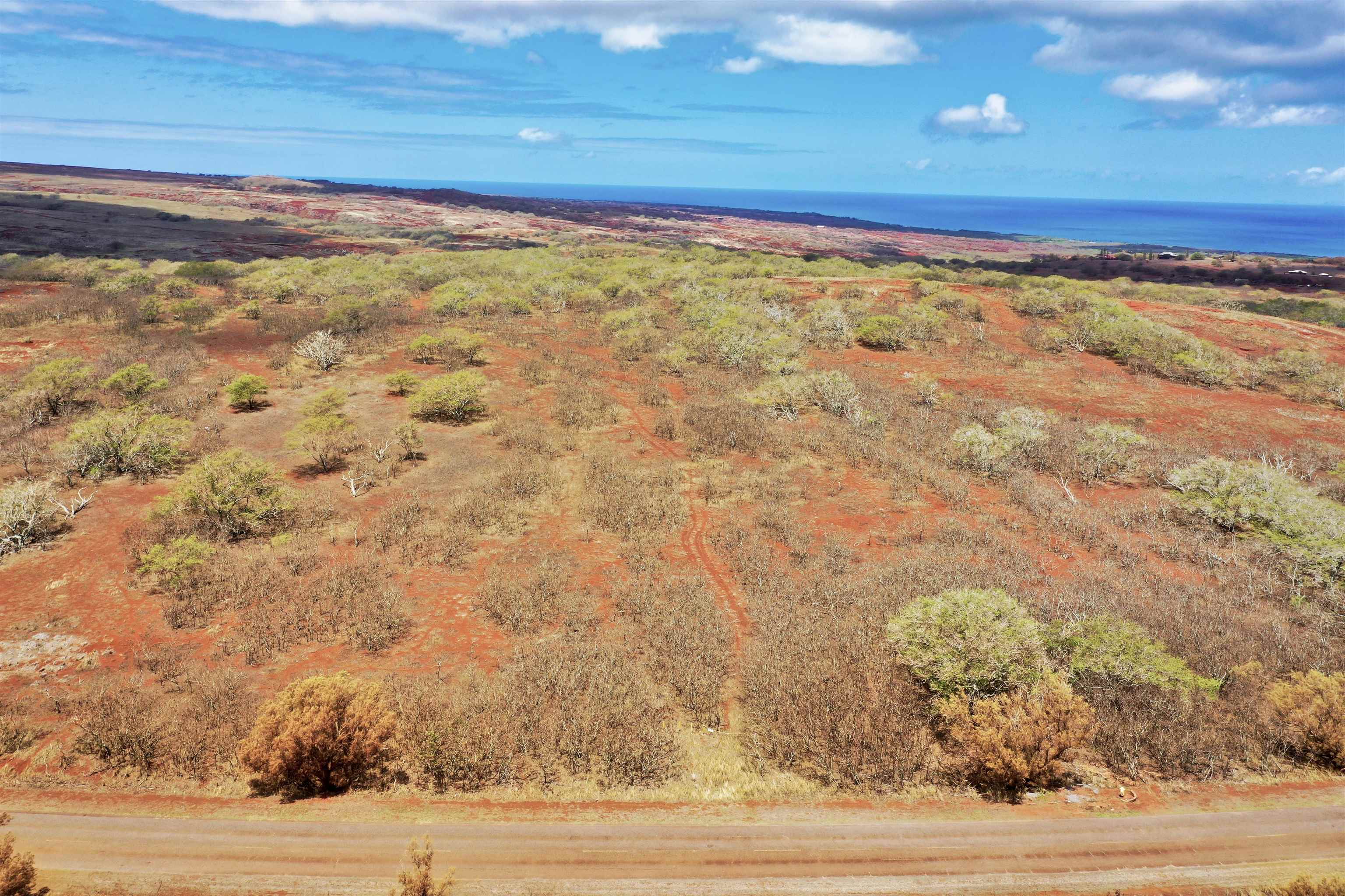 Lot 38 Kalua Koi Rd  Maunaloa, Hi vacant land for sale - photo 3 of 8