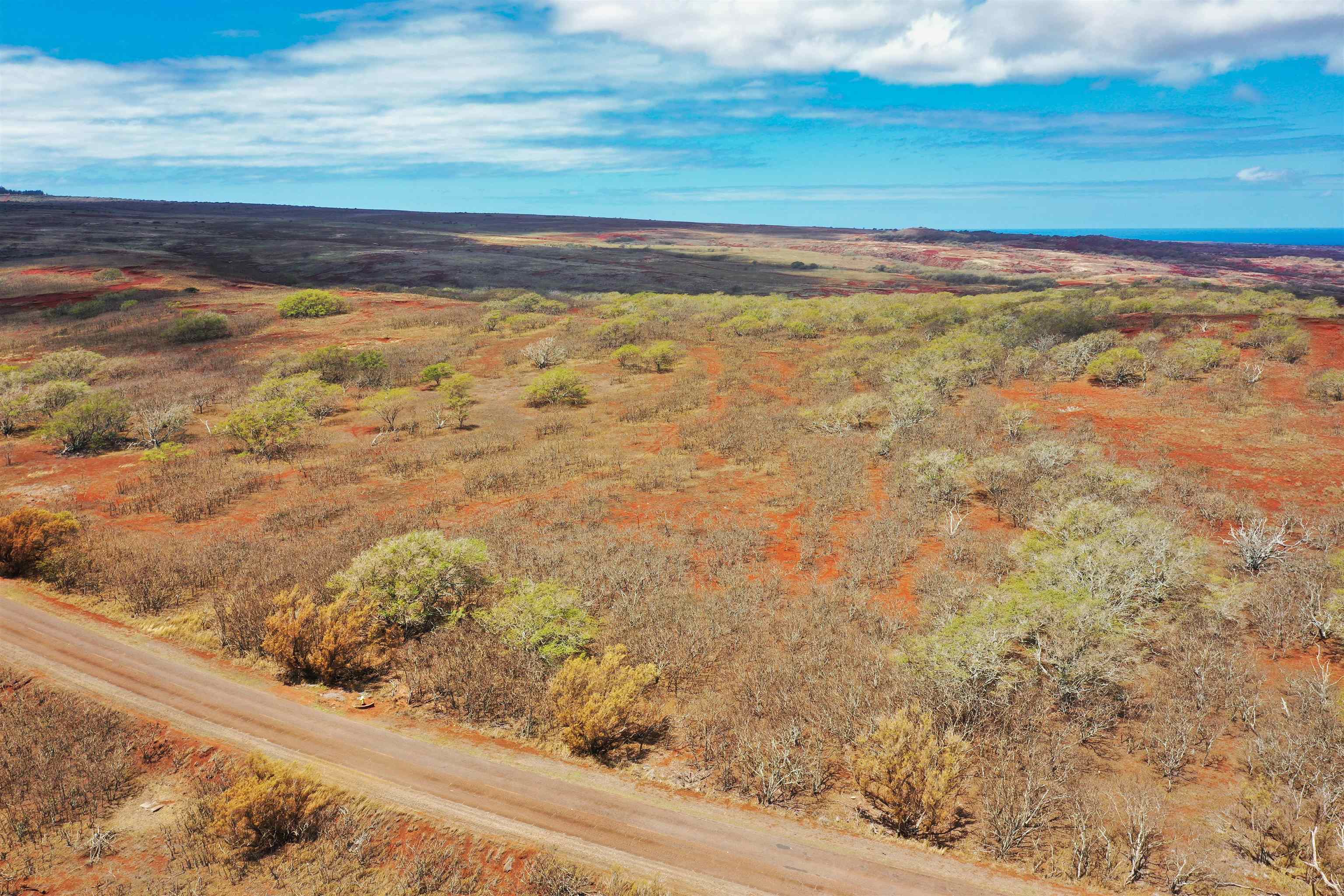 Lot 38 Kalua Koi Rd  Maunaloa, Hi vacant land for sale - photo 6 of 8