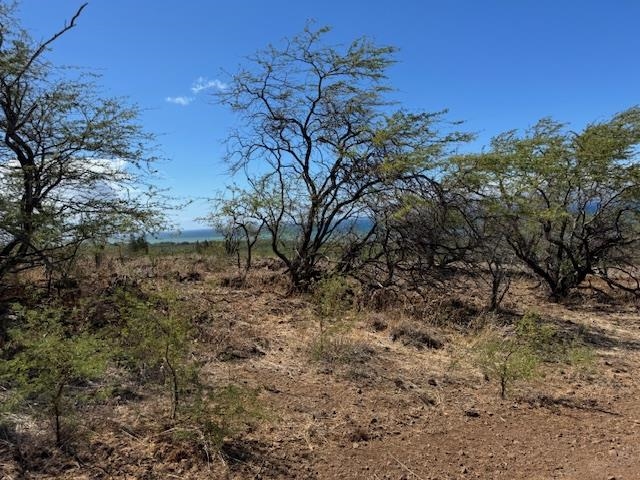 Lot 40 Kupaia Pl  Kaunakakai, Hi vacant land for sale - photo 8 of 24