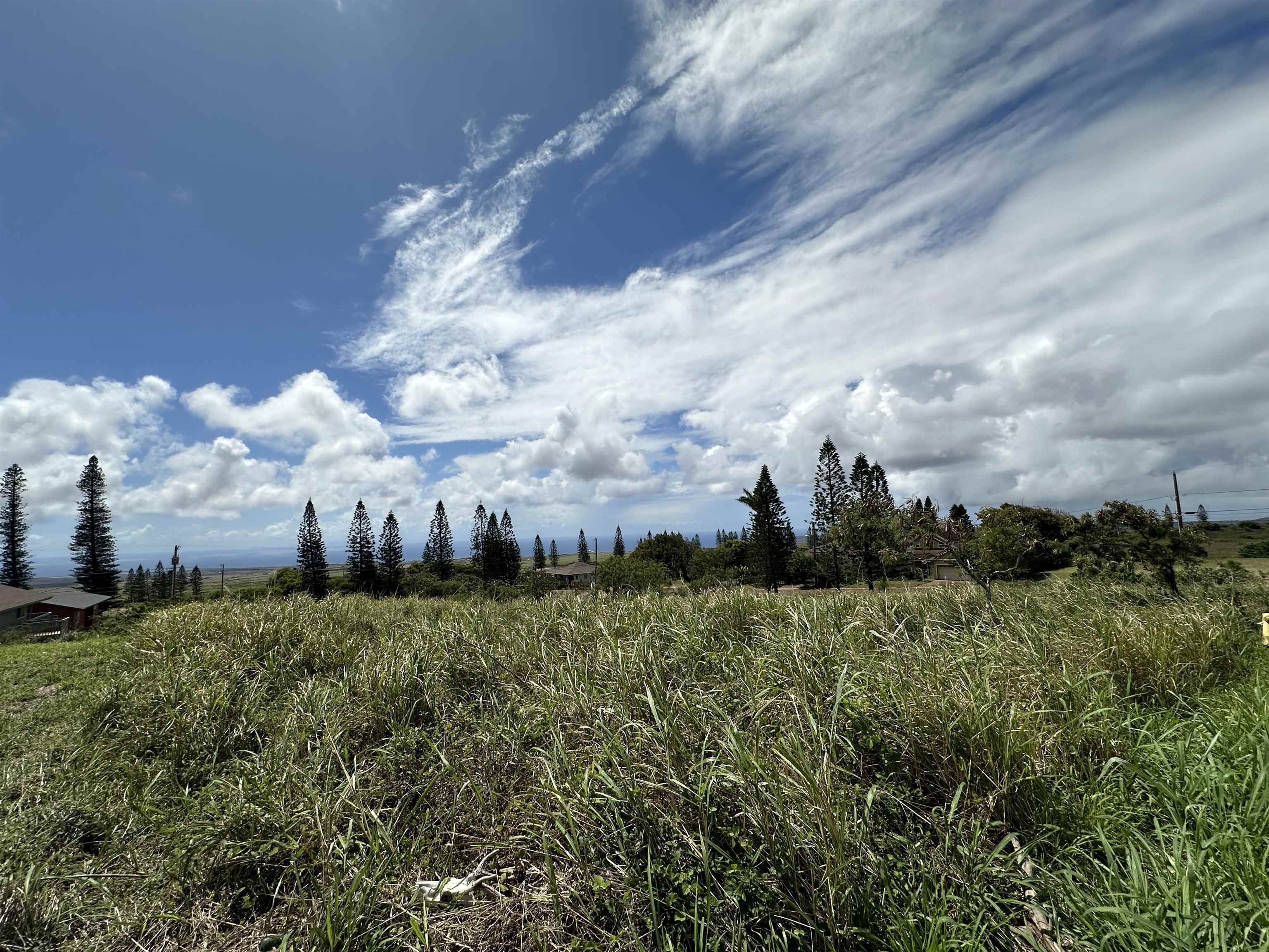 lot 461 Linohau St  Maunaloa, Hi vacant land for sale - photo 2 of 3