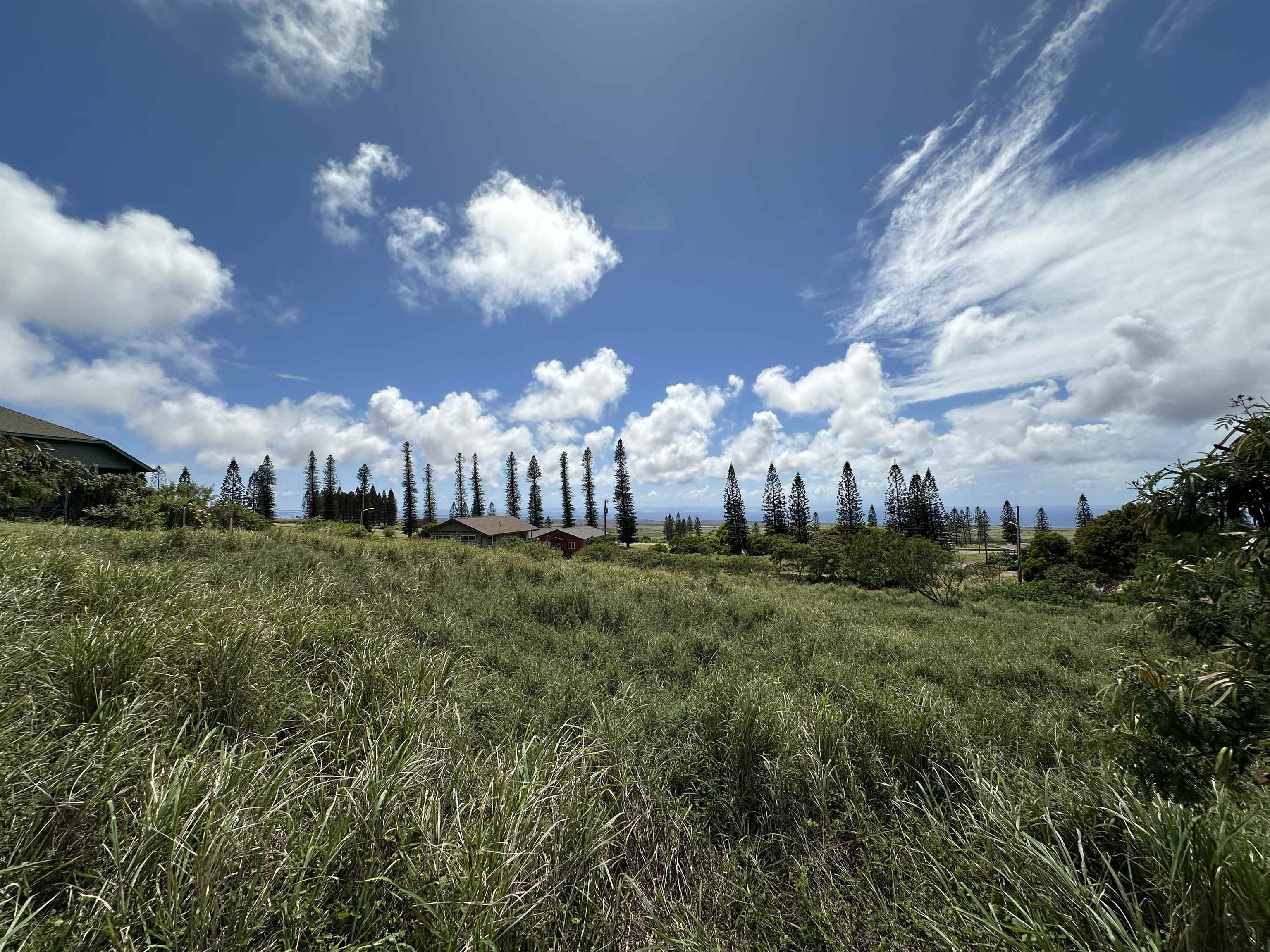 lot 461 Linohau St  Maunaloa, Hi vacant land for sale - photo 3 of 3