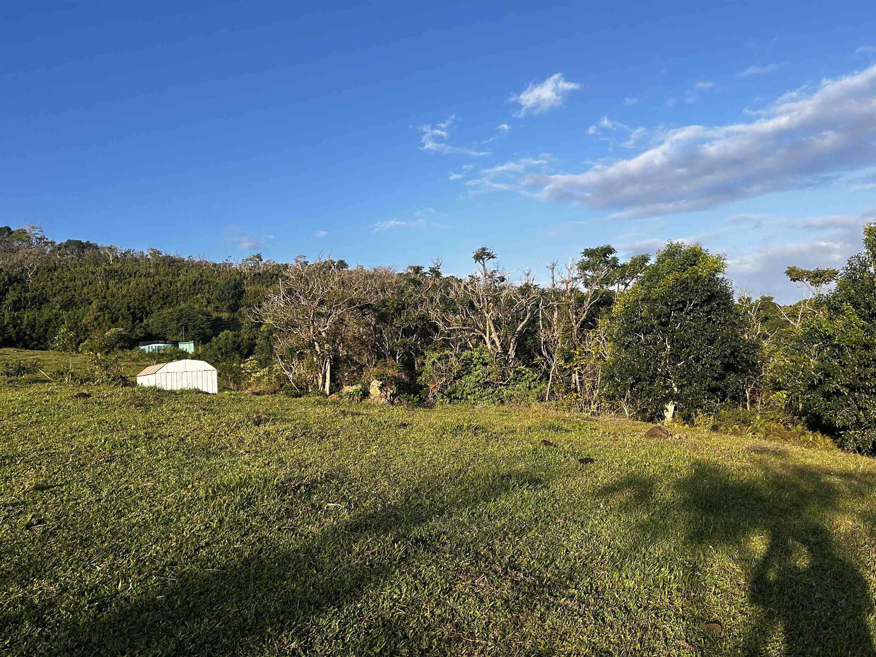 Lot E Hana Hwy  Hana, Hi vacant land for sale - photo 11 of 24