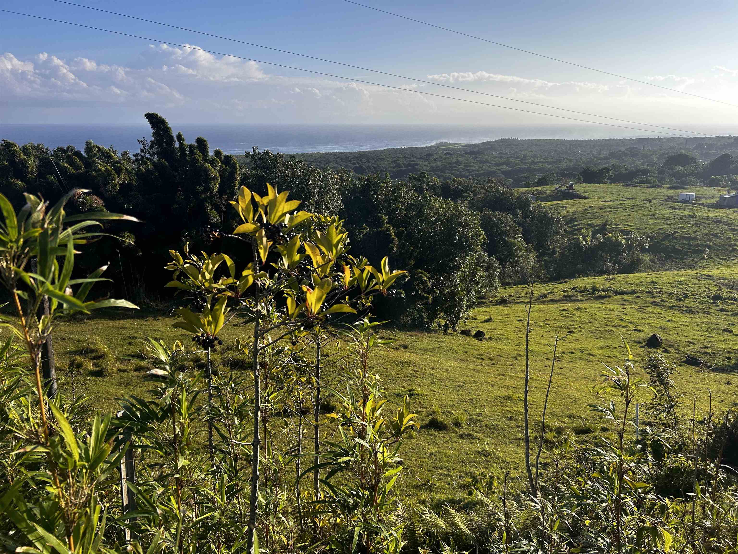 Lot E Hana Hwy  Hana, Hi vacant land for sale - photo 22 of 24