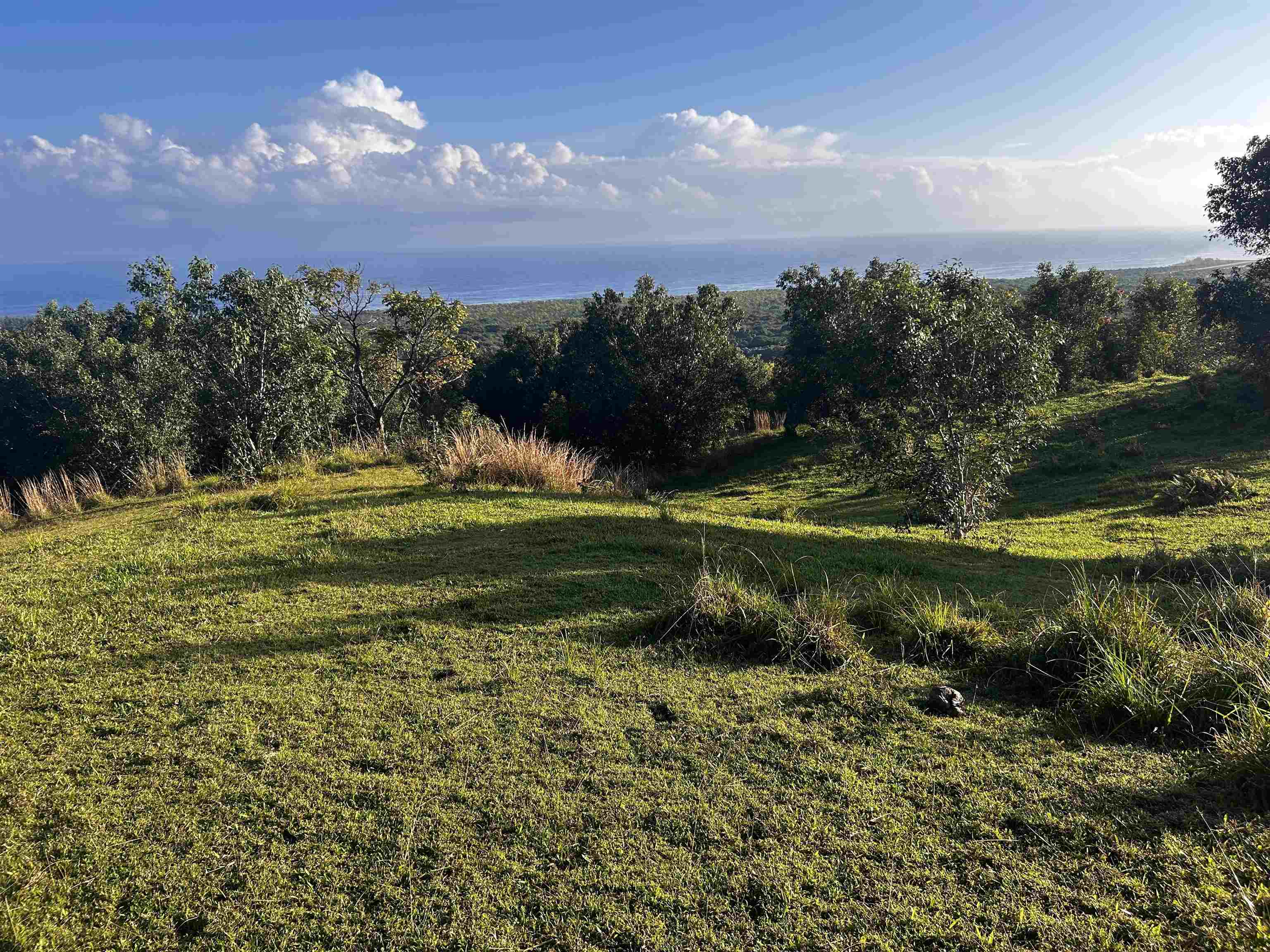 Lot F Hana Hwy 3-F Hana, Hi vacant land for sale - photo 2 of 18