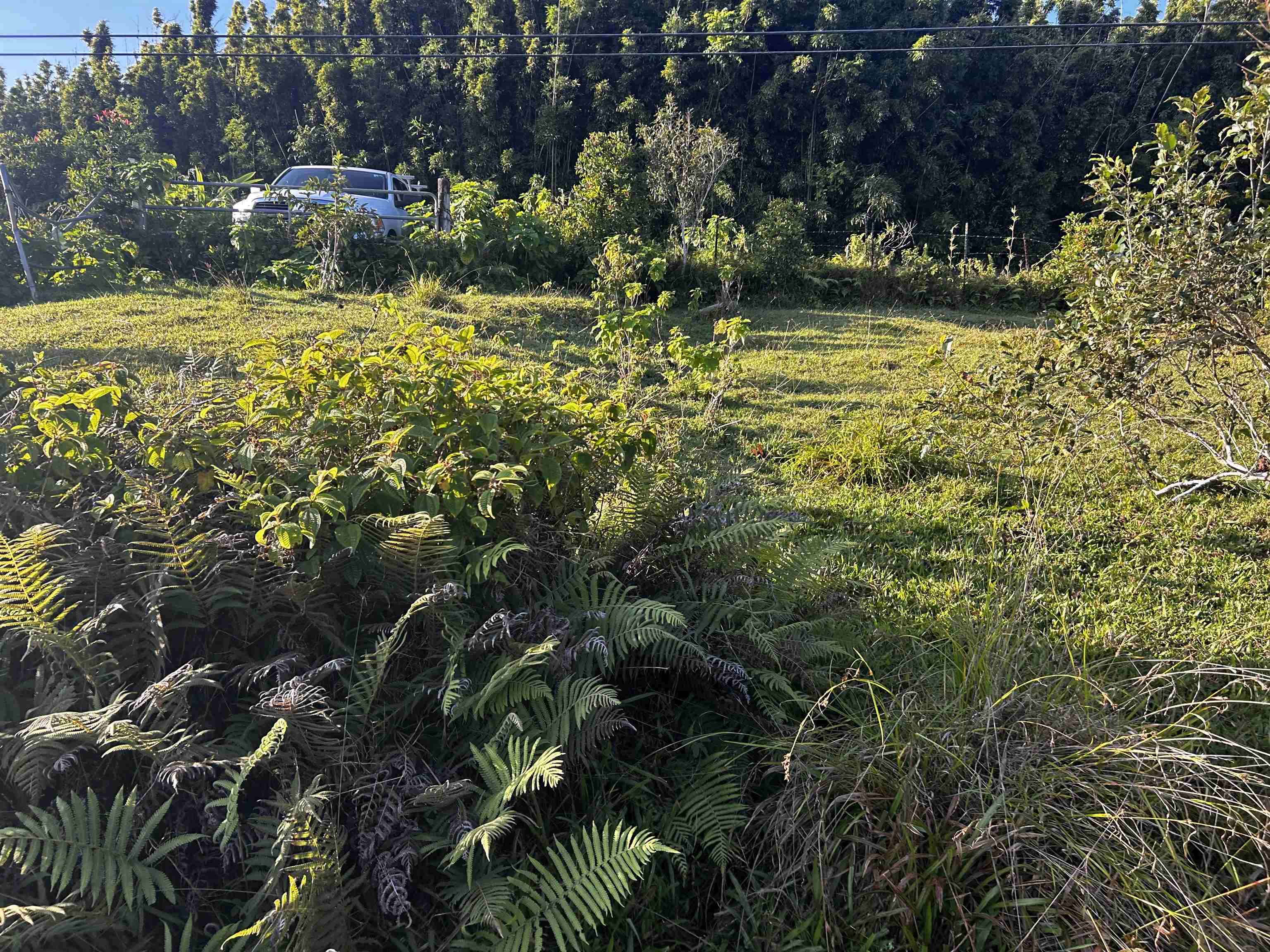 Lot F Hana Hwy 3-F Hana, Hi vacant land for sale - photo 12 of 18