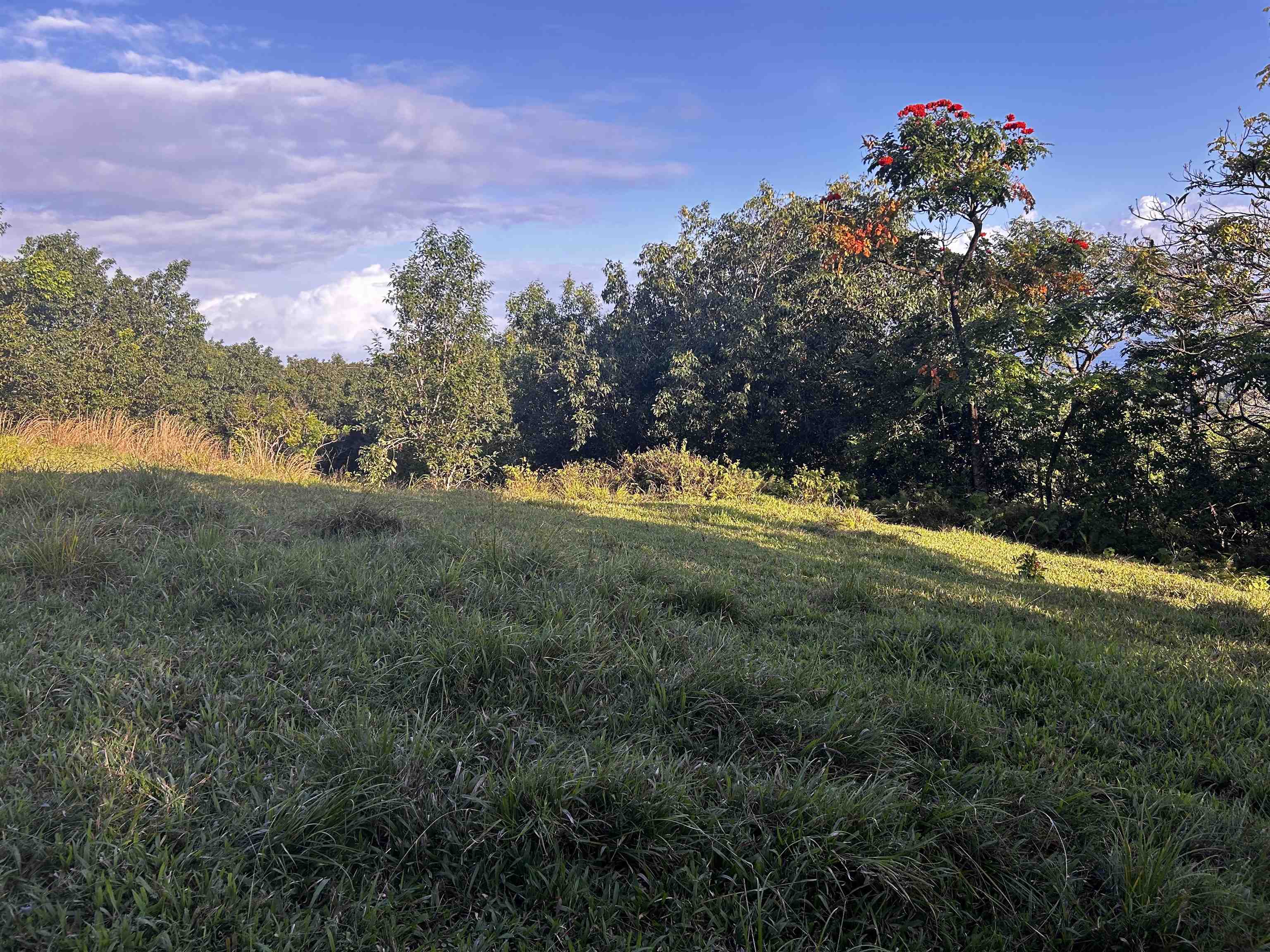 Lot F Hana Hwy 3-F Hana, Hi vacant land for sale - photo 13 of 18