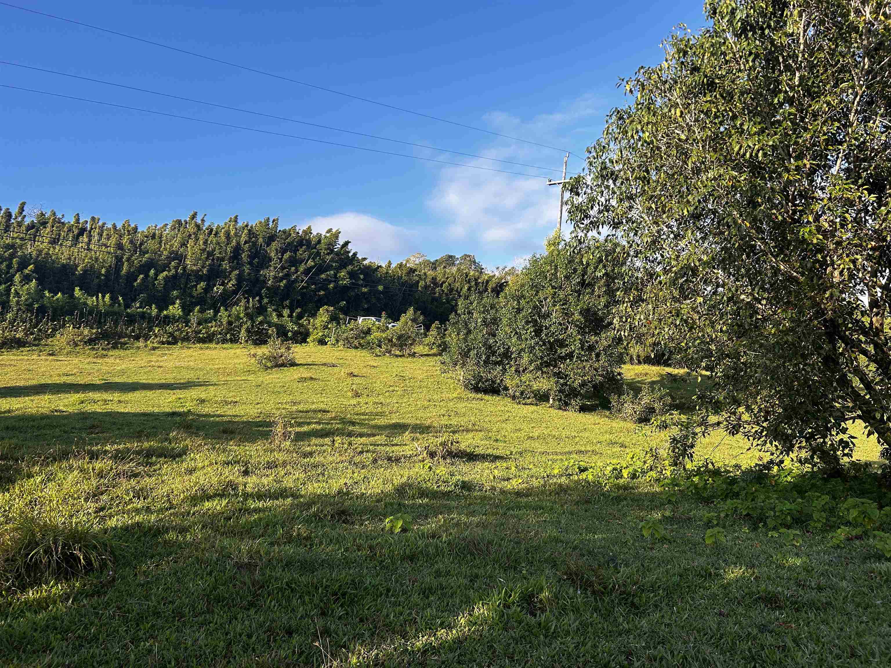 Lot F Hana Hwy 3-F Hana, Hi vacant land for sale - photo 14 of 18