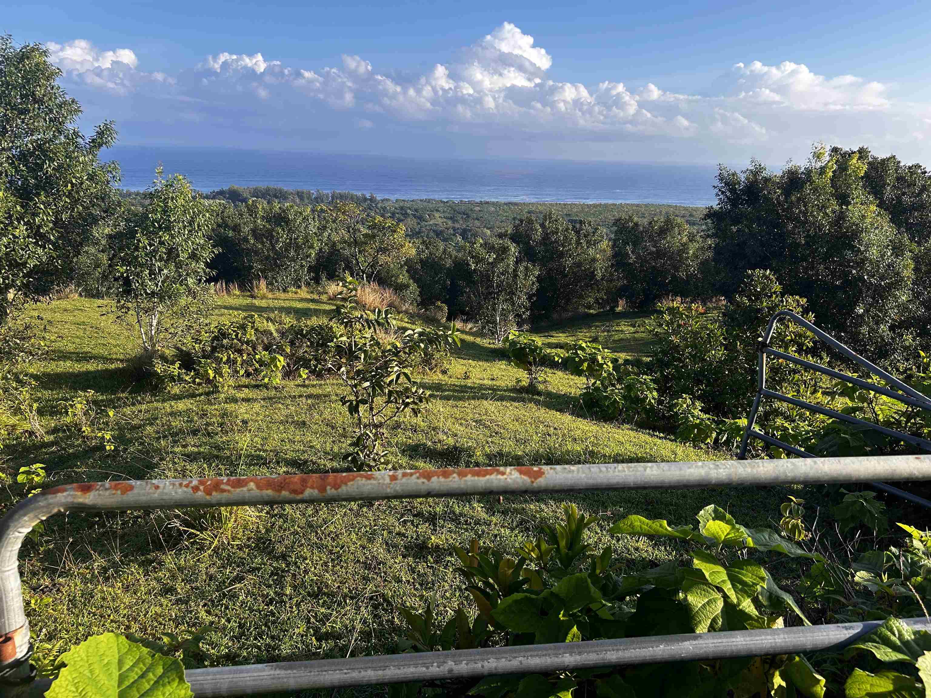 Lot F Hana Hwy 3-F Hana, Hi vacant land for sale - photo 8 of 18