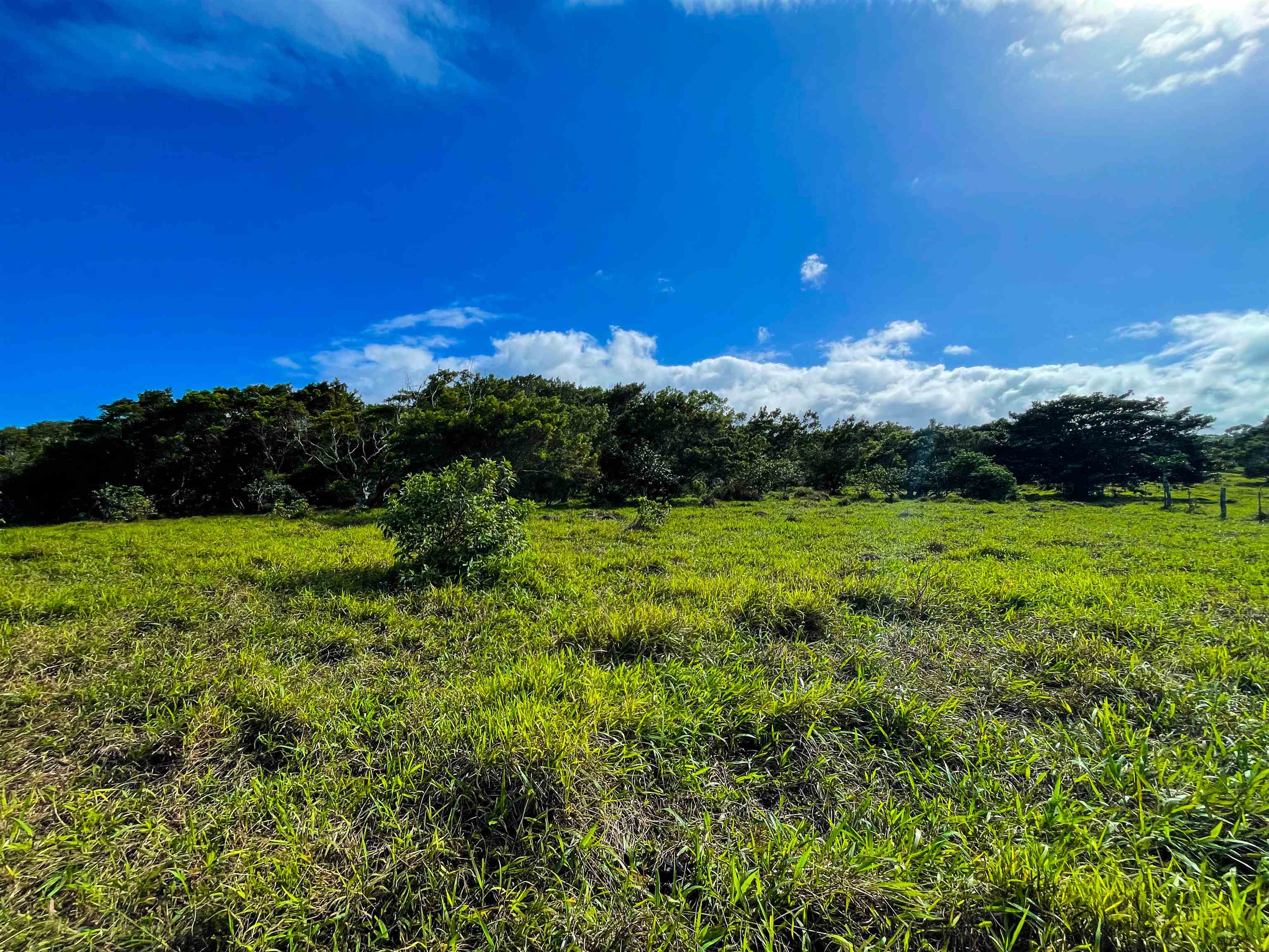 Lupi Rd  Haiku, Hi vacant land for sale - photo 2 of 18