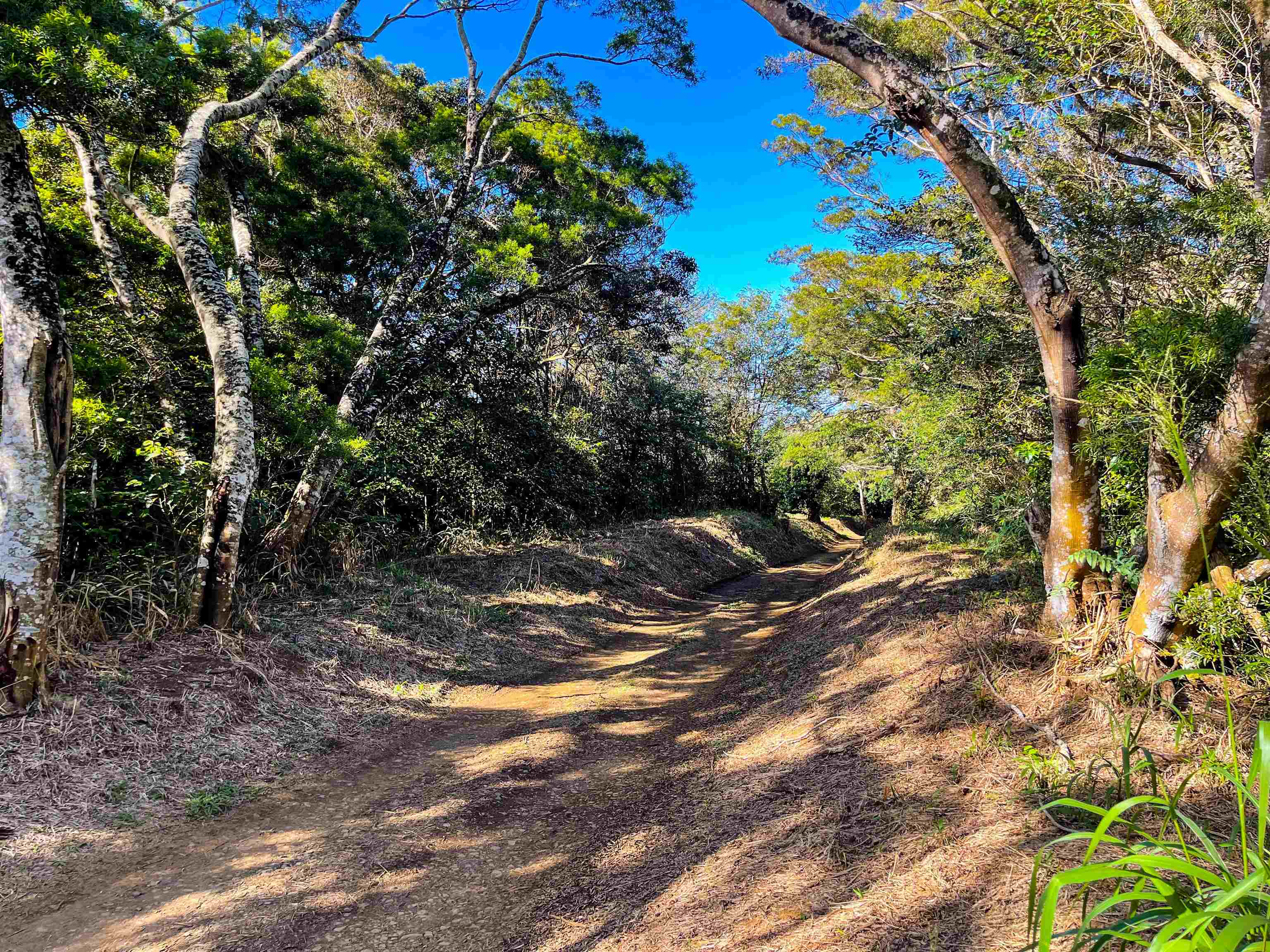 Lupi Rd  Haiku, Hi vacant land for sale - photo 13 of 18