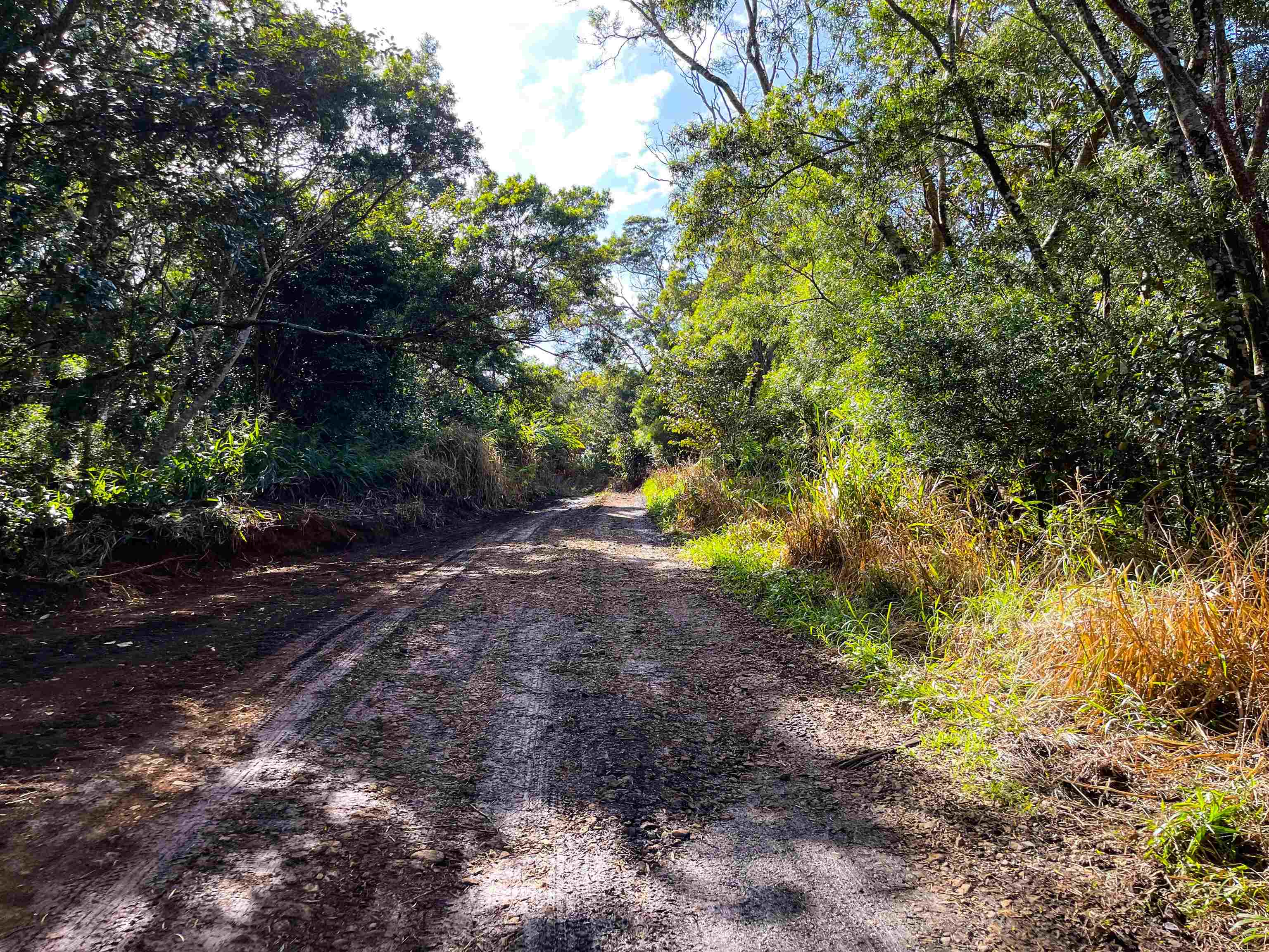 Lupi Rd  Haiku, Hi vacant land for sale - photo 14 of 18