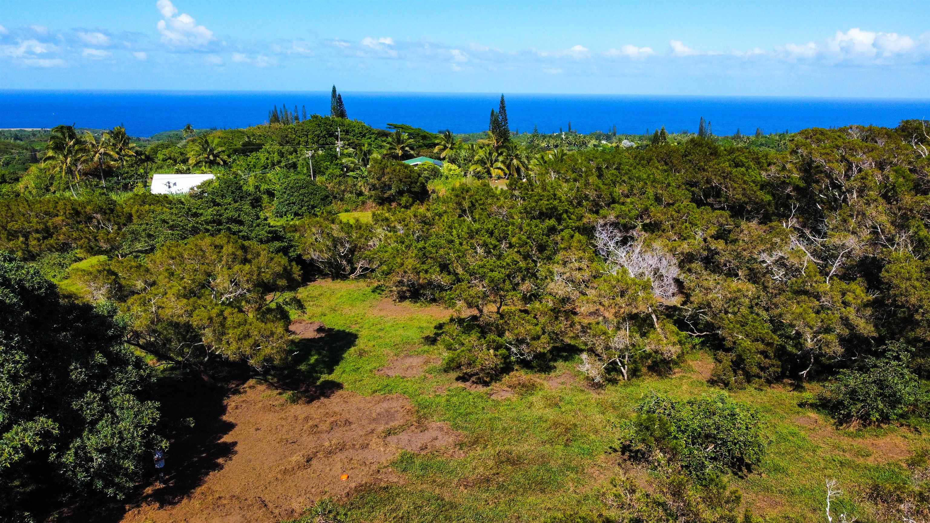 Lupi Rd  Haiku, Hi vacant land for sale - photo 15 of 18