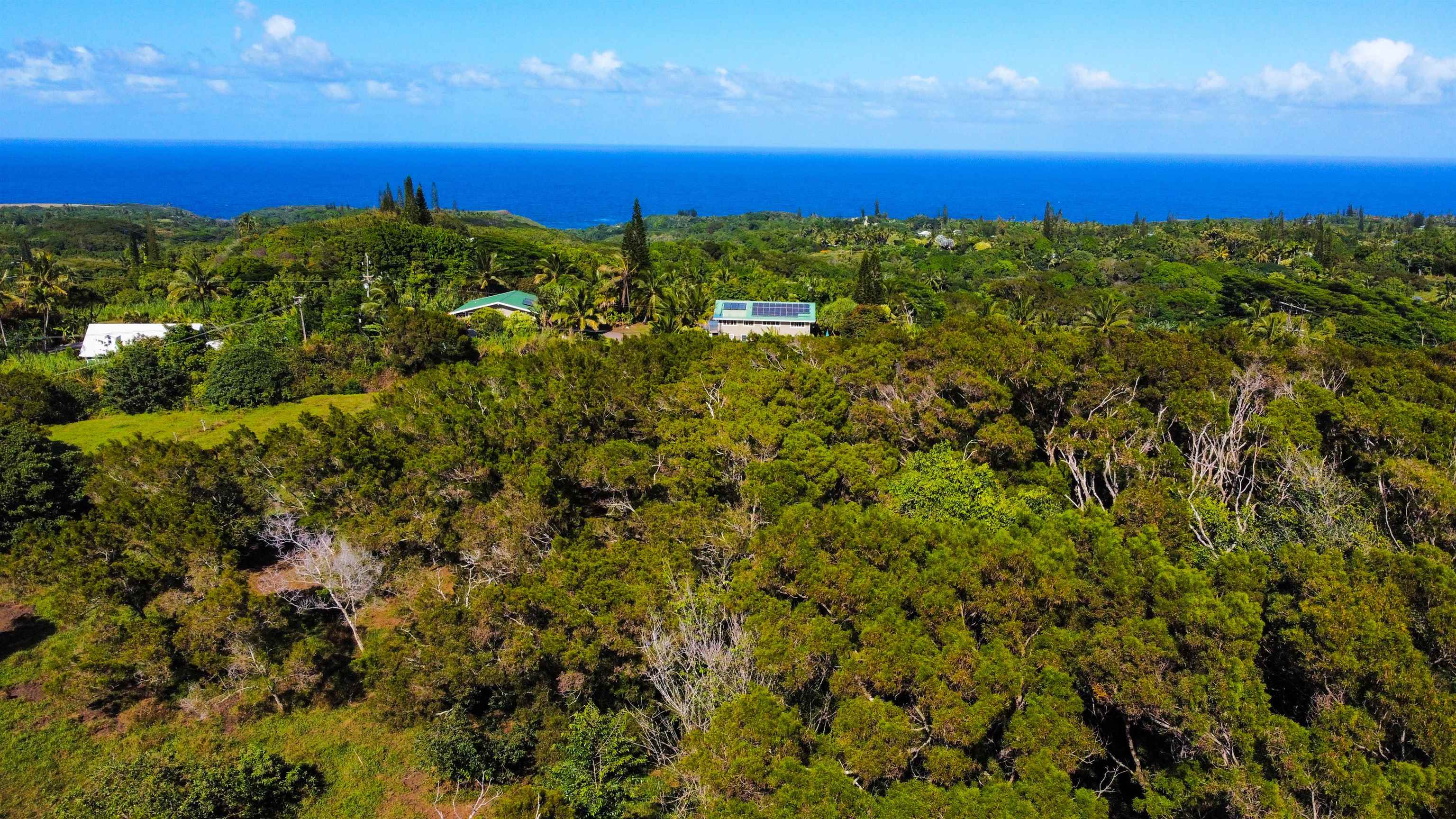 Lupi Rd  Haiku, Hi vacant land for sale - photo 16 of 18