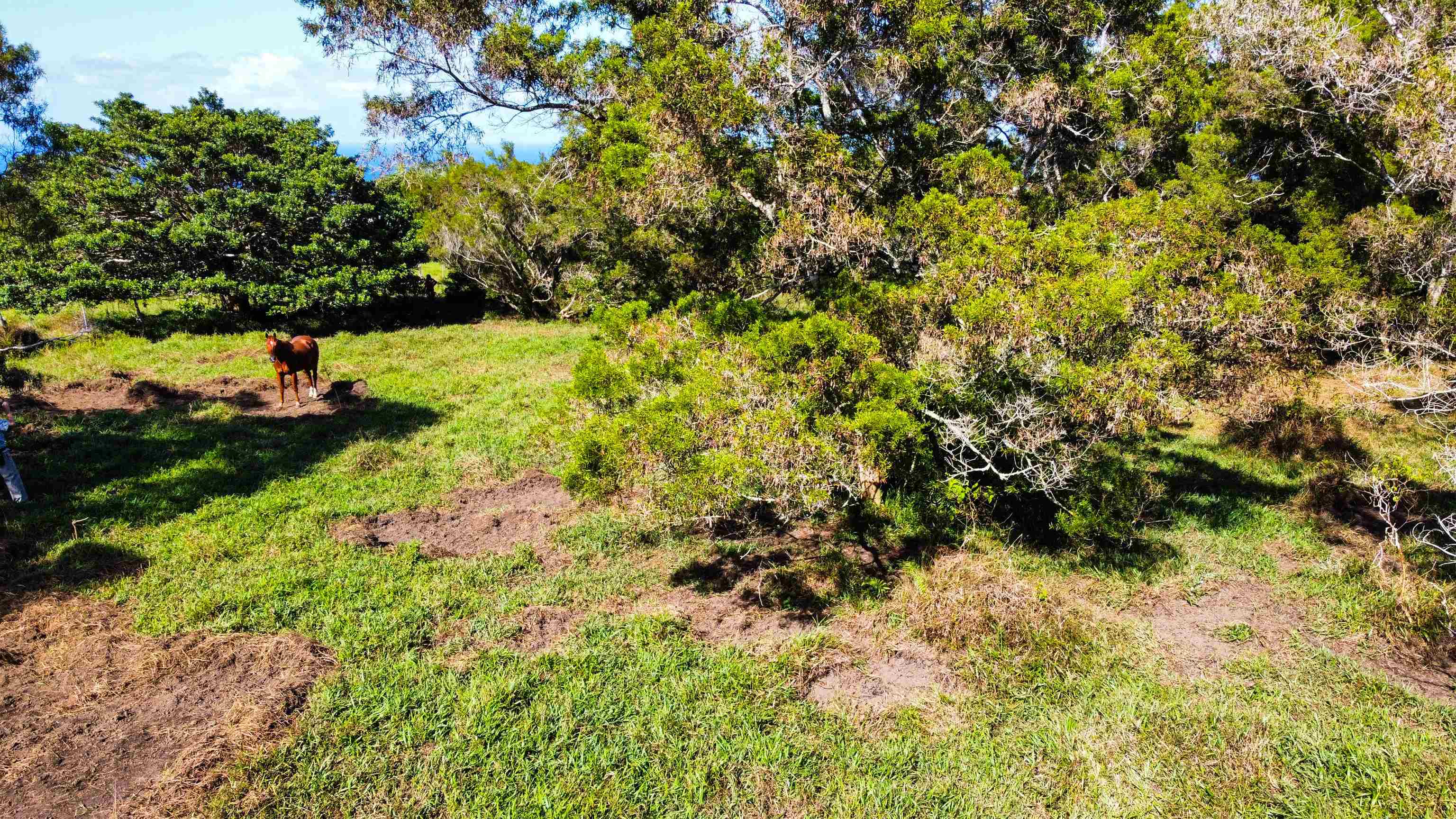 Lupi Rd  Haiku, Hi vacant land for sale - photo 18 of 18