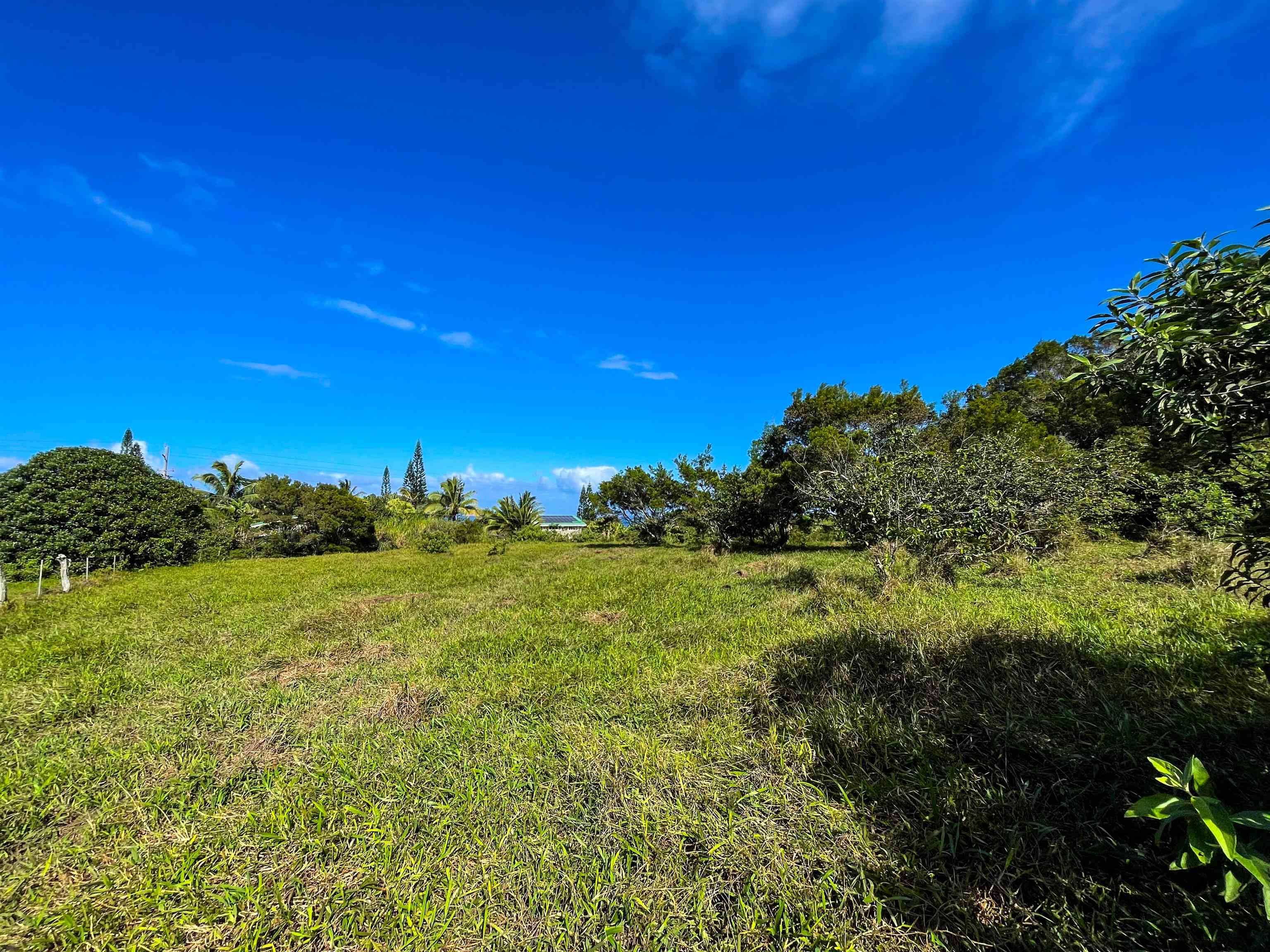 Lupi Rd  Haiku, Hi vacant land for sale - photo 4 of 18