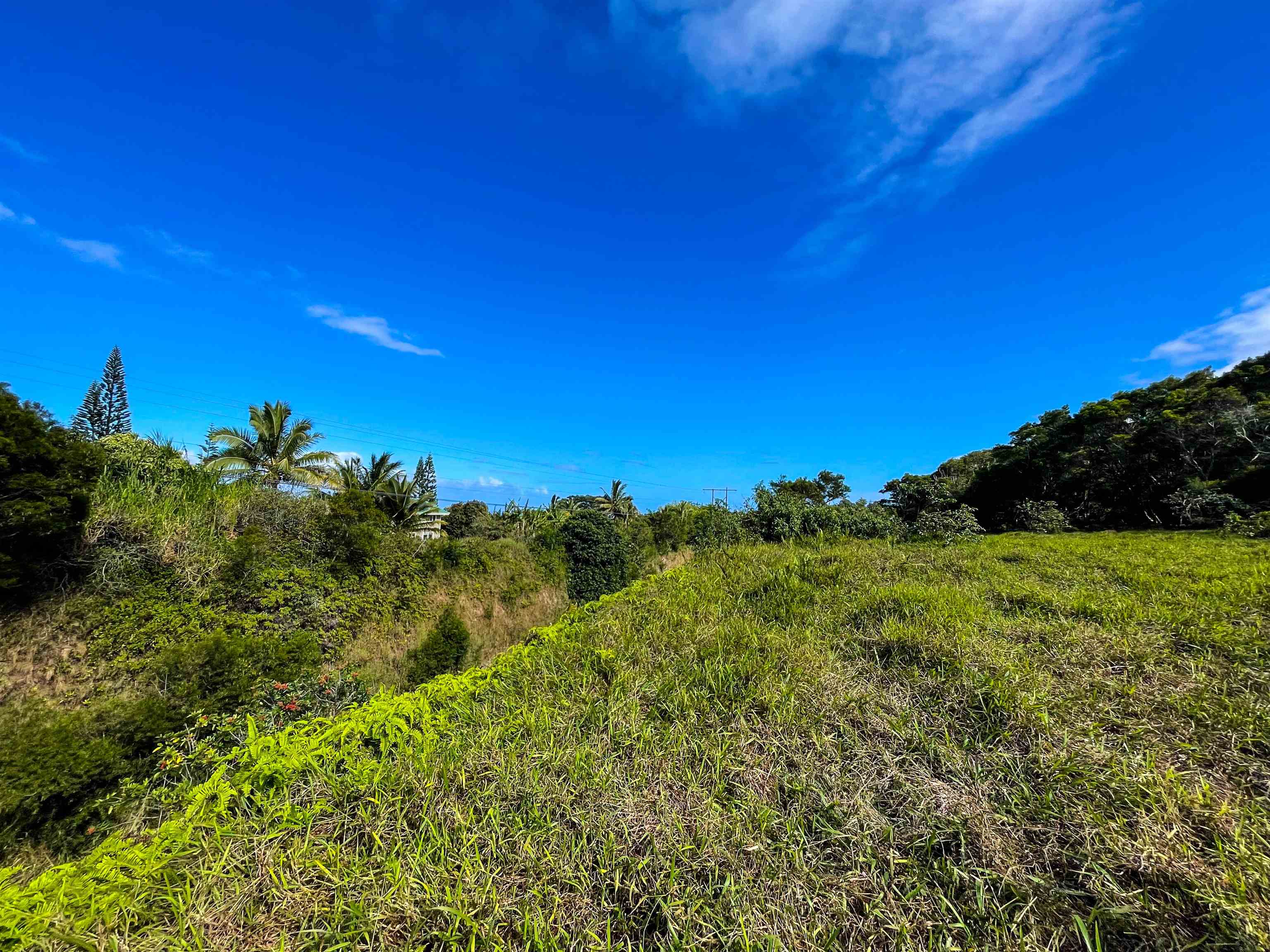 Lupi Rd  Haiku, Hi vacant land for sale - photo 5 of 18