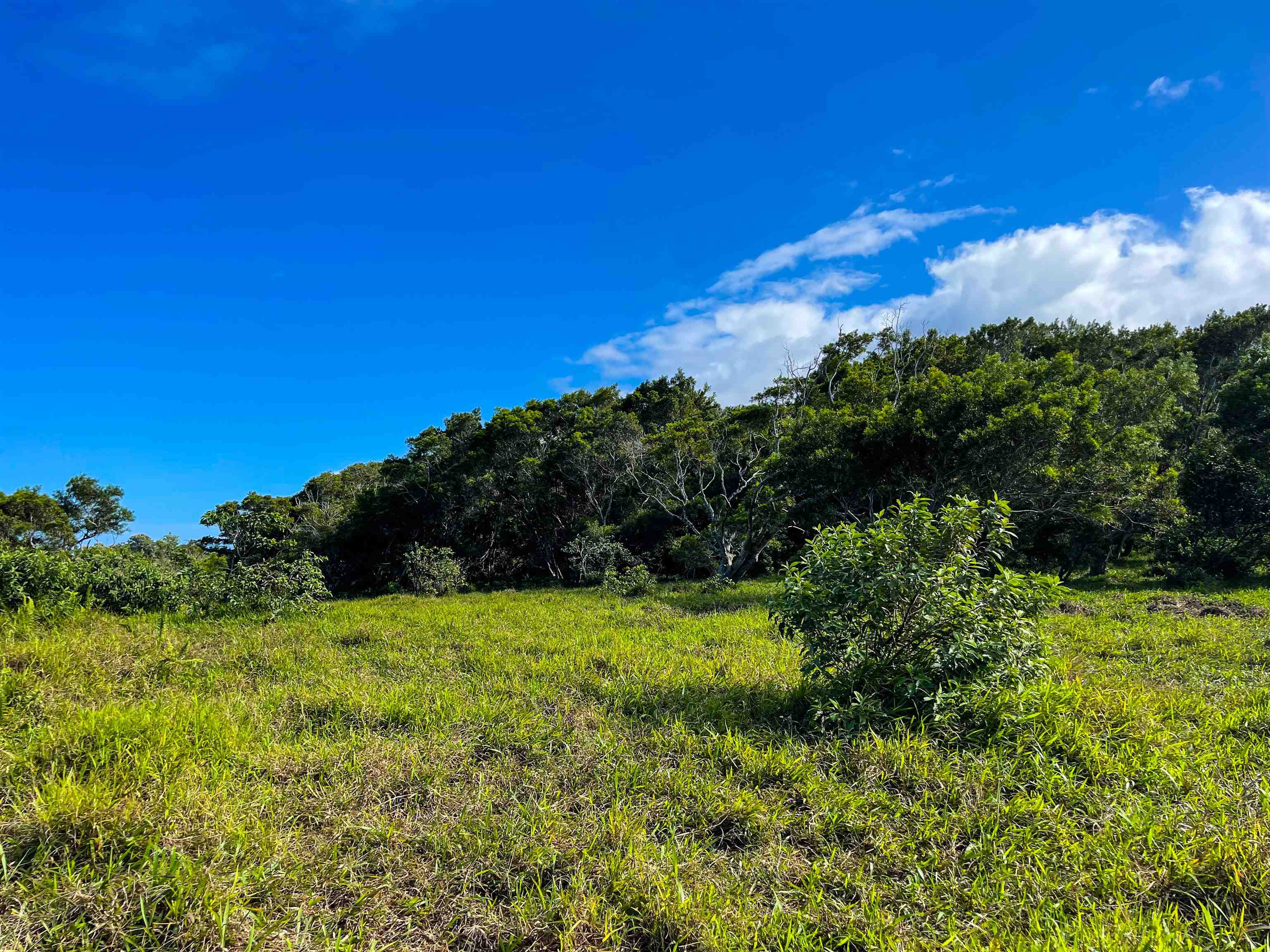 Lupi Rd  Haiku, Hi vacant land for sale - photo 7 of 18