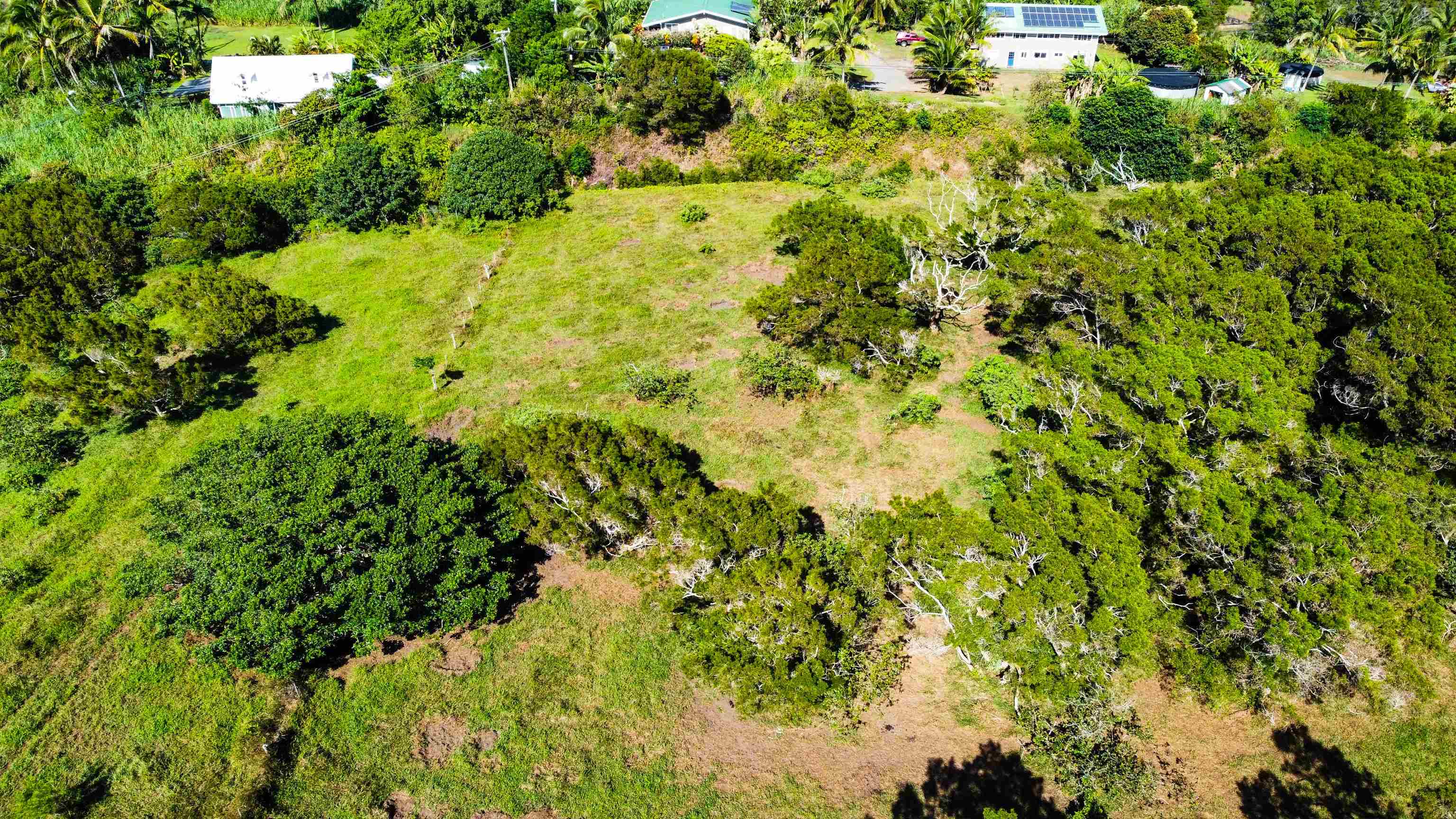 Lupi Rd  Haiku, Hi vacant land for sale - photo 10 of 18