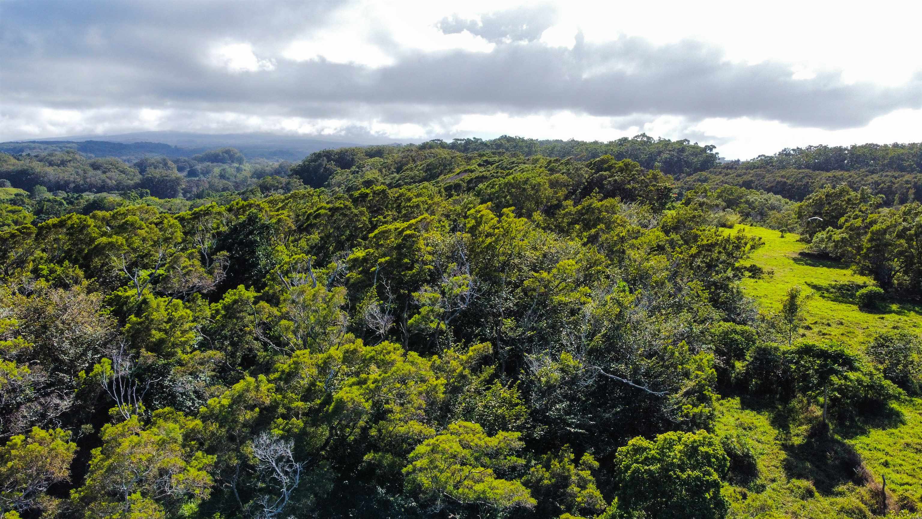 Lupi Rd   - photo 13 of 18