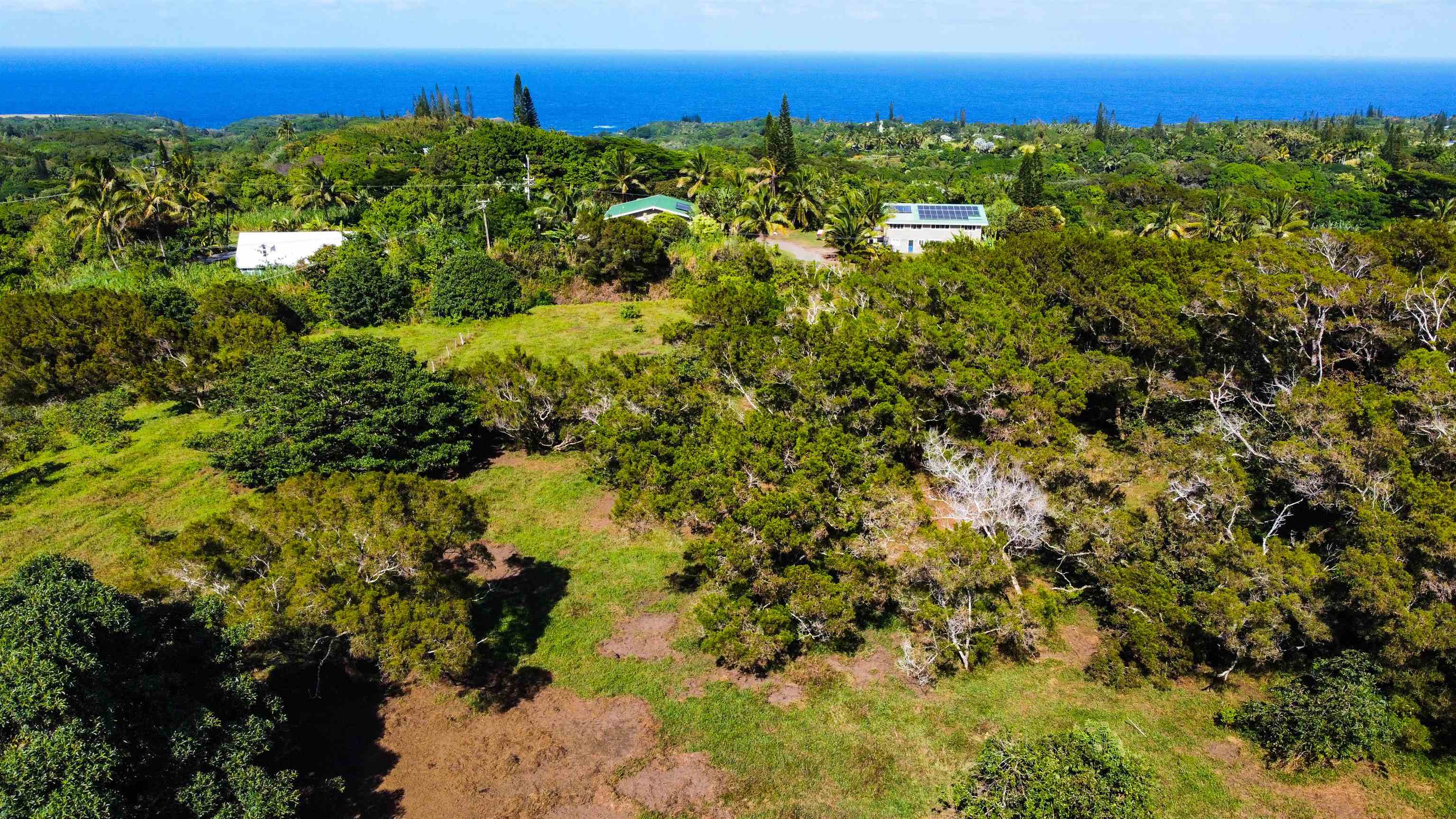 Lupi Rd   - photo 4 of 18