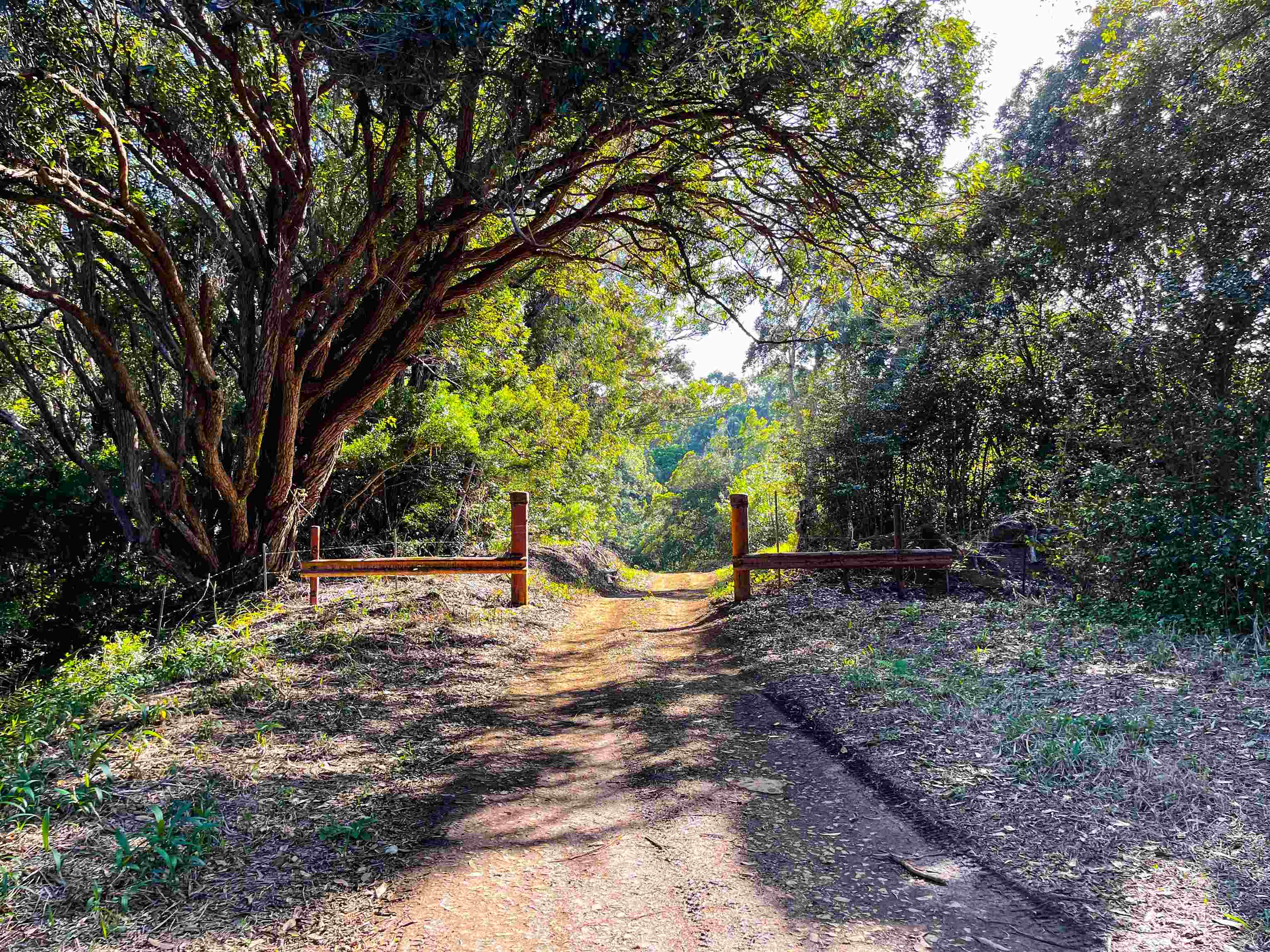 Lupi Rd   - photo 7 of 18