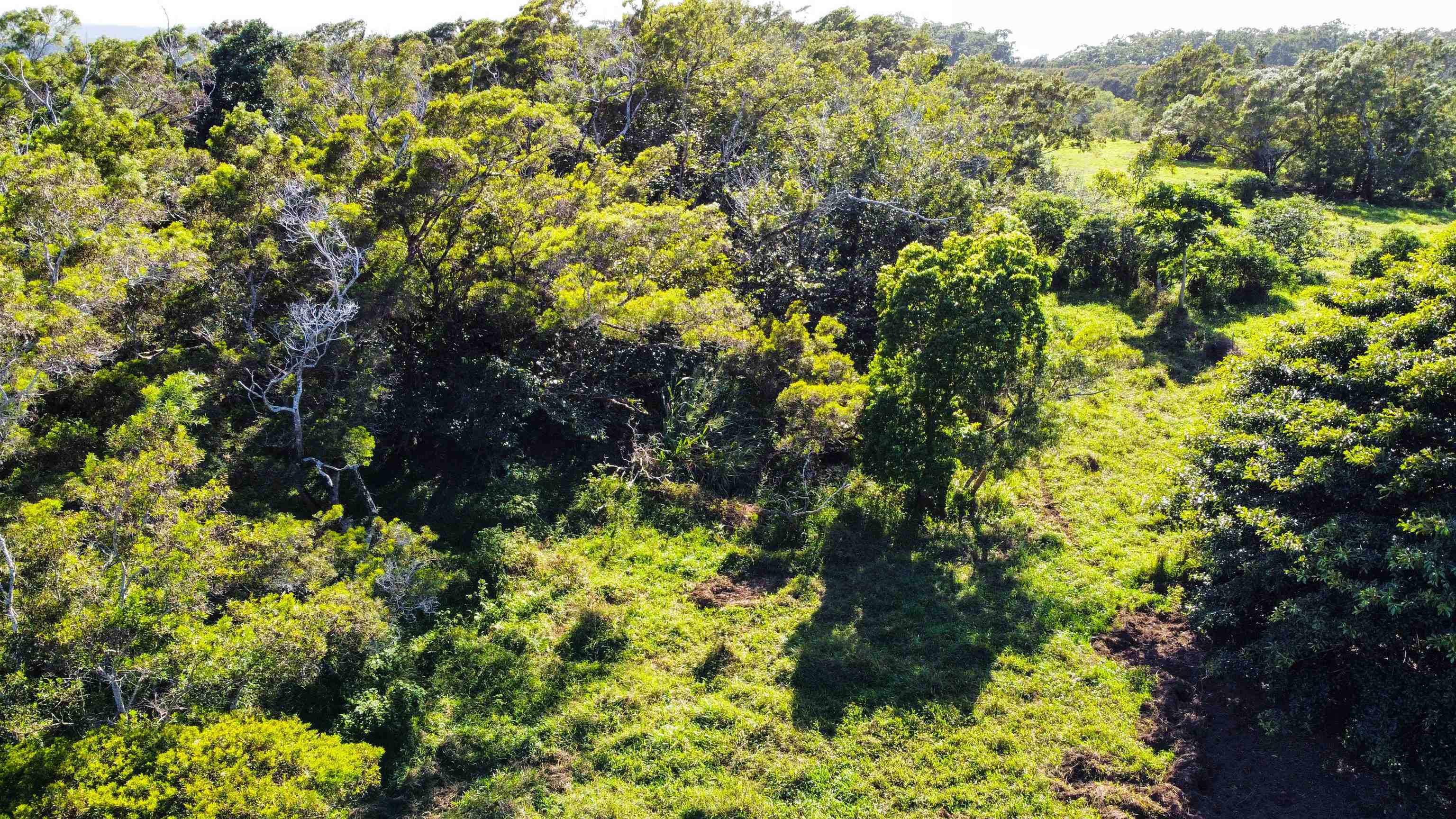 Lupi Rd   - photo 9 of 18