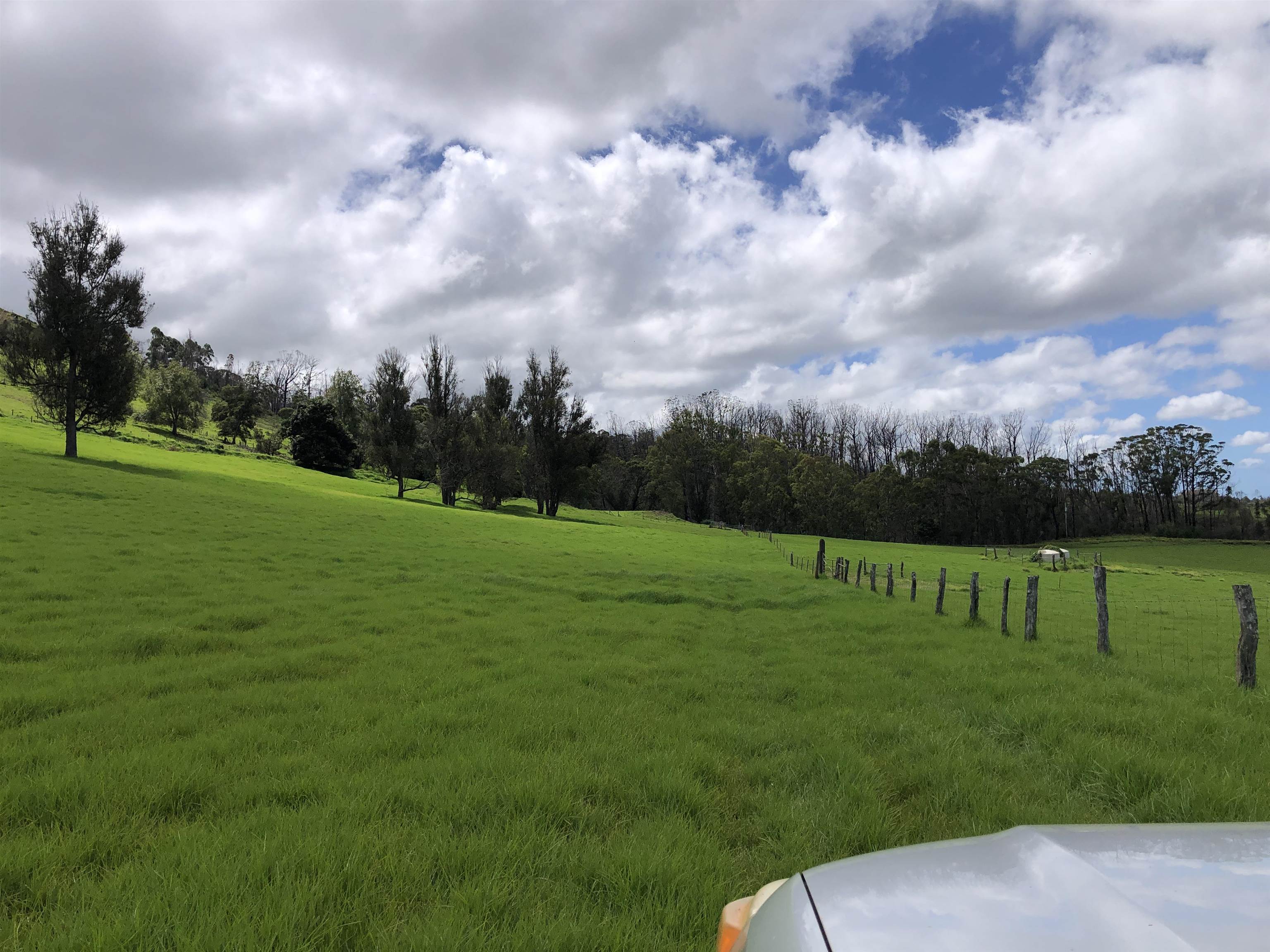 0 Makanoe Pl  Makawao, Hi vacant land for sale - photo 11 of 32