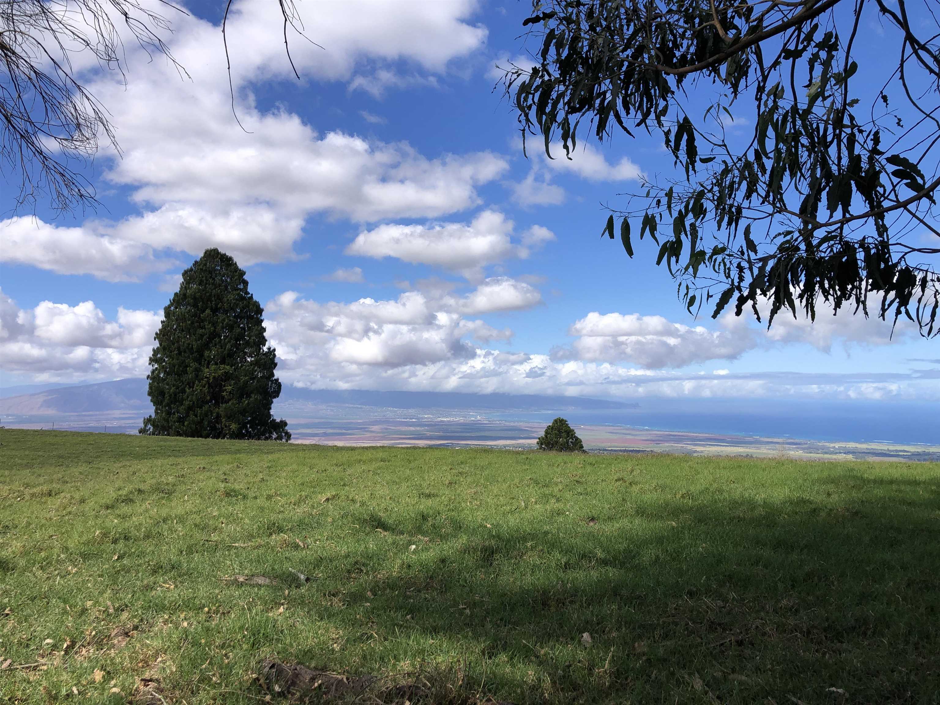 0 Makanoe Pl  Makawao, Hi vacant land for sale - photo 14 of 32